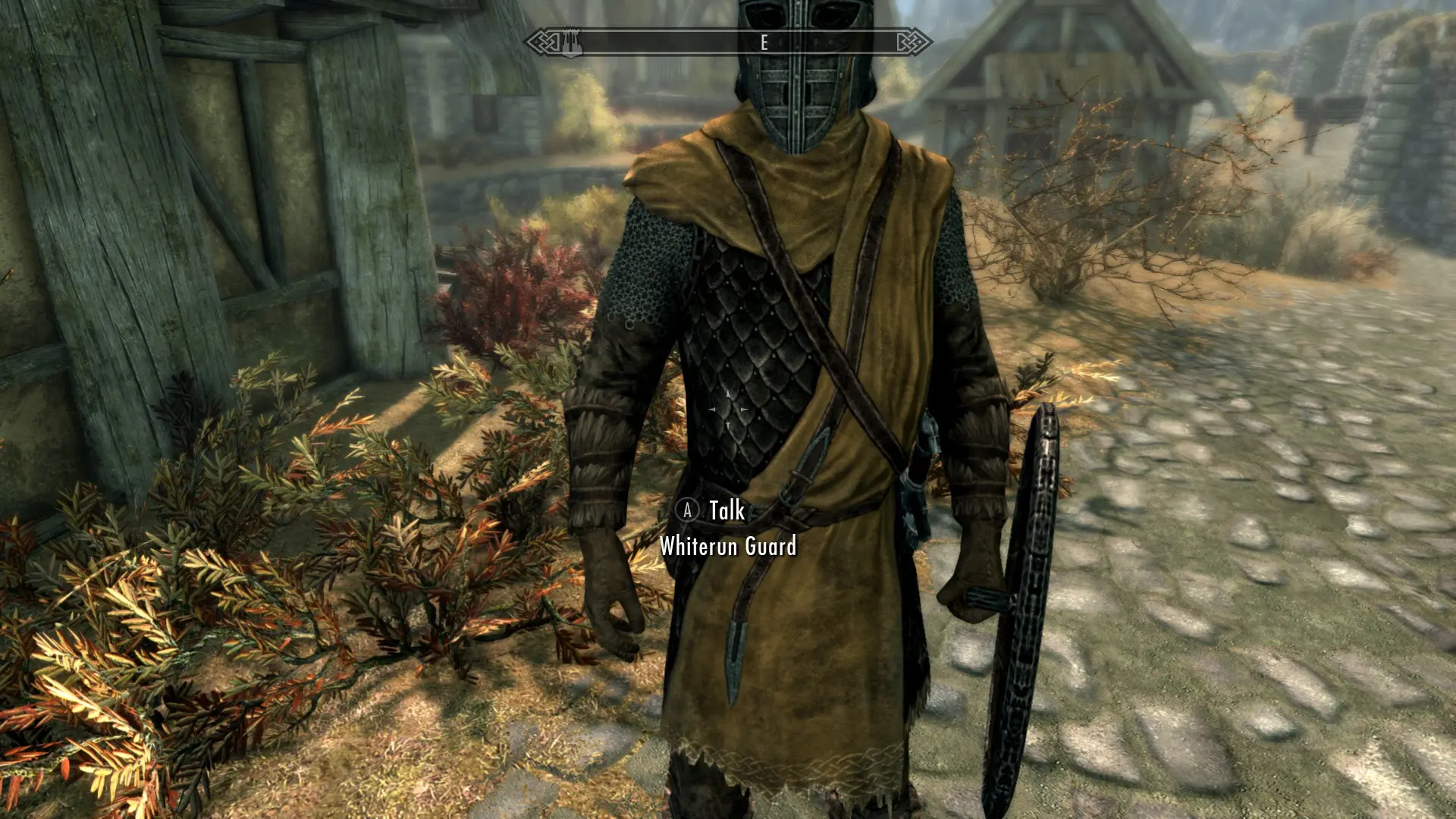 skyrim se guard armor mod