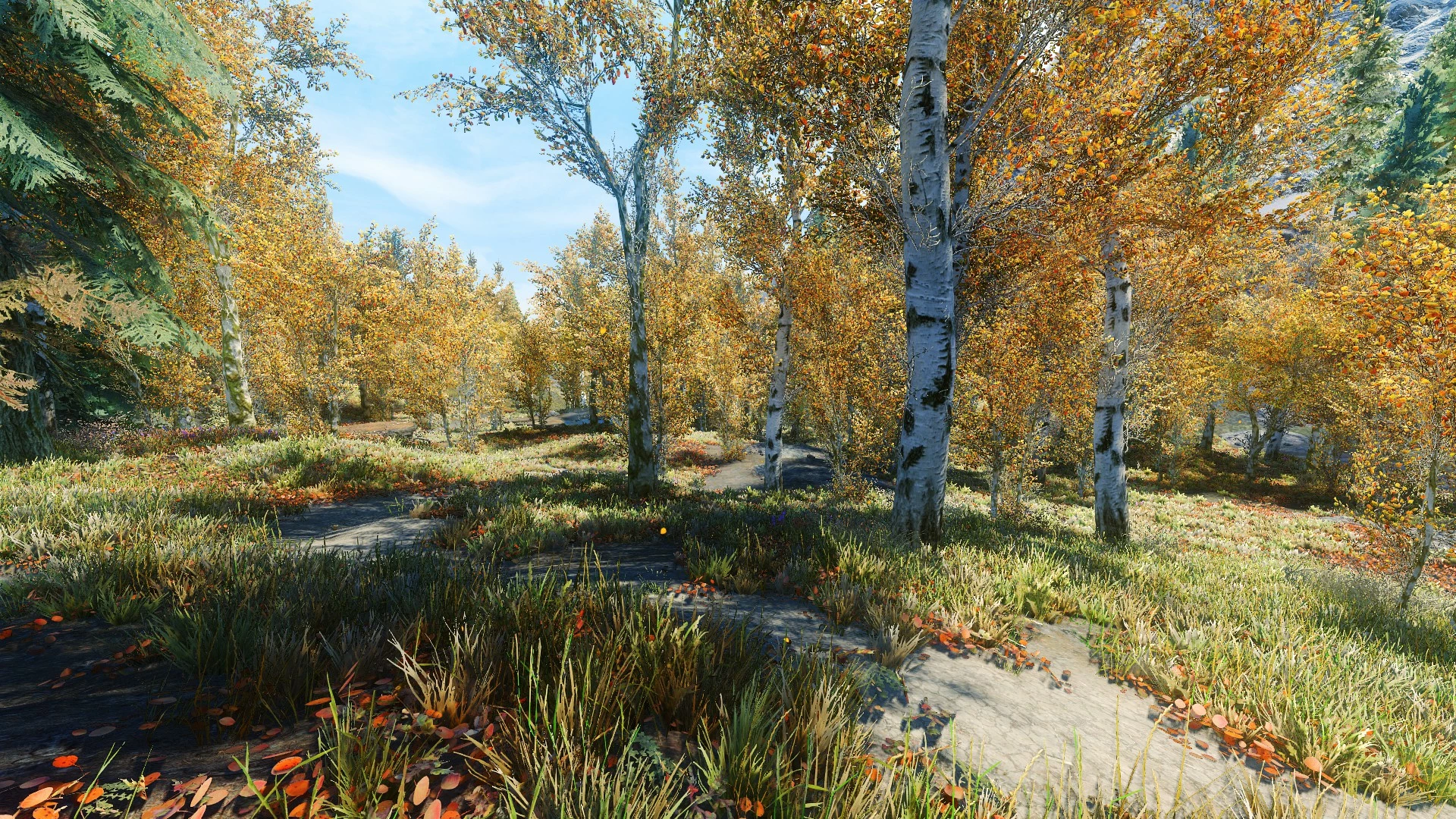 skyrim special edition grass mod skyrim special edition grass mod