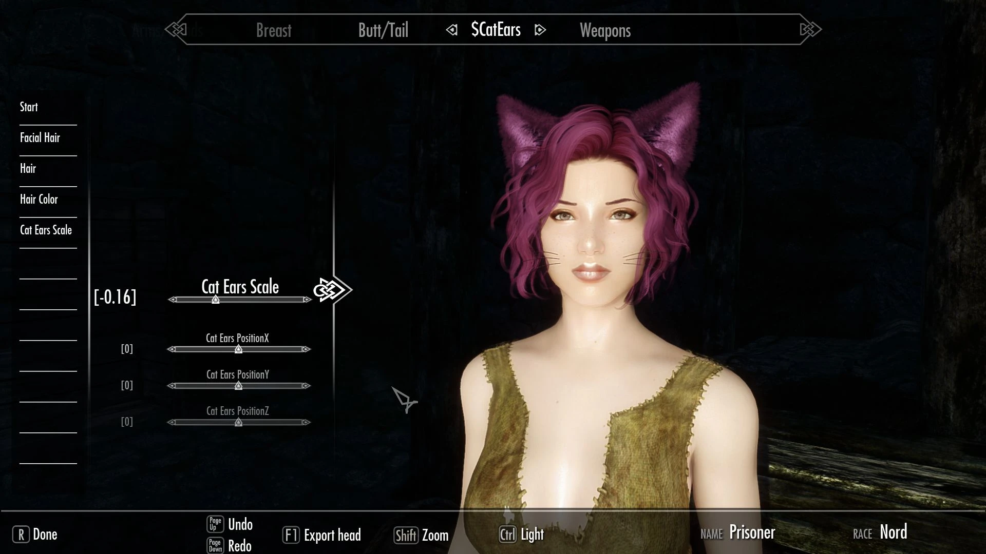 Fluffy Cat Ears And Whiskers At Skyrim Special Edition Nexus Mods And Community