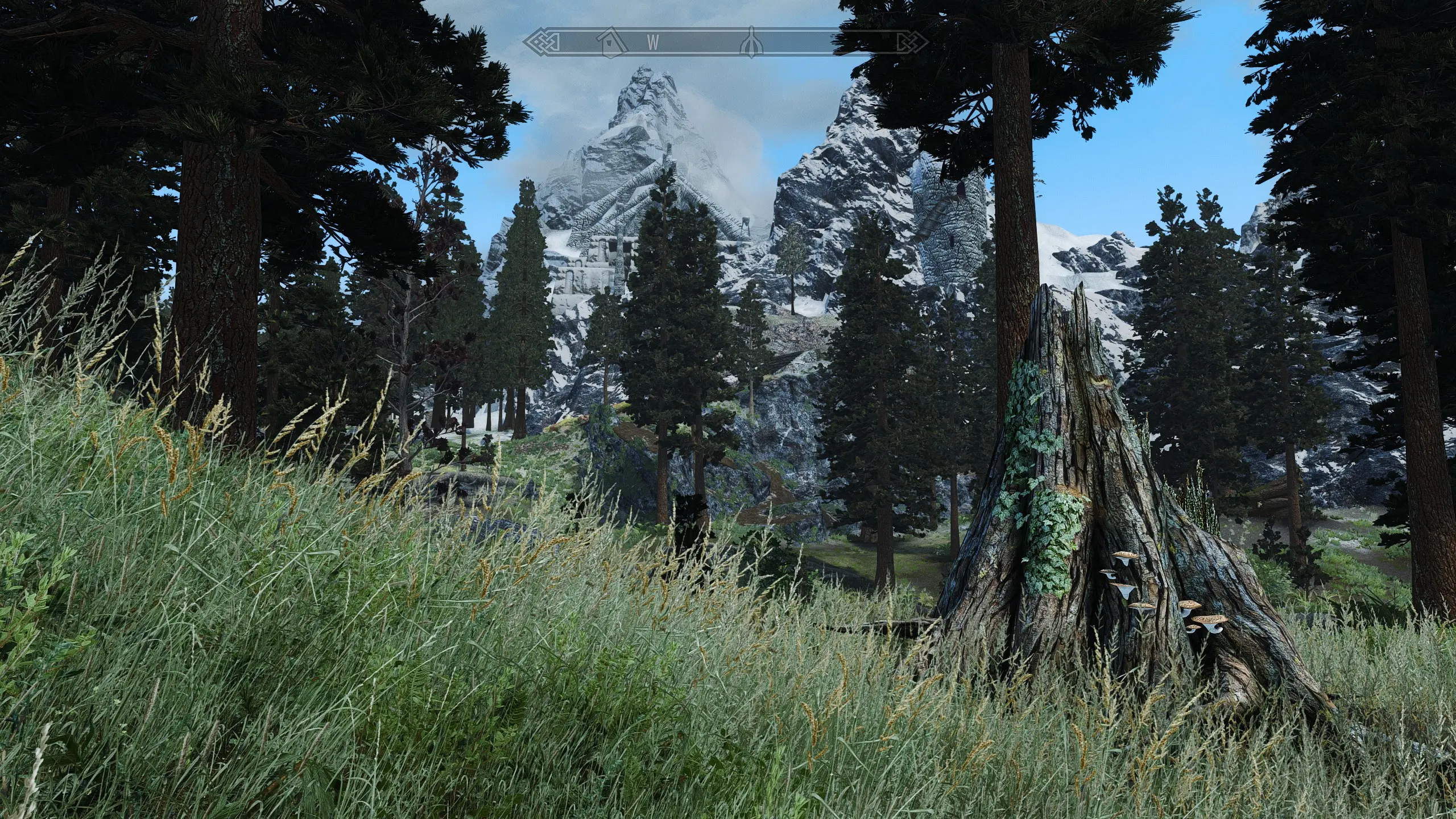 Veydosebrom Regions A Skyrim Grass Overhaul Enb Complex Grass At Skyrim Special Edition