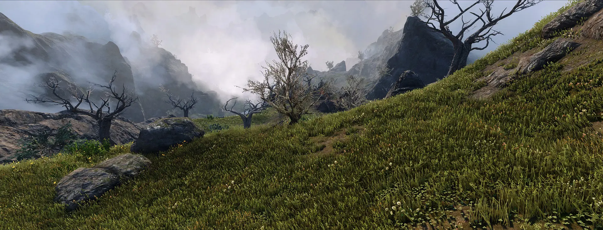 Veydosebrom Regions - A Skyrim Grass Overhaul - ENB Complex Grass at ...