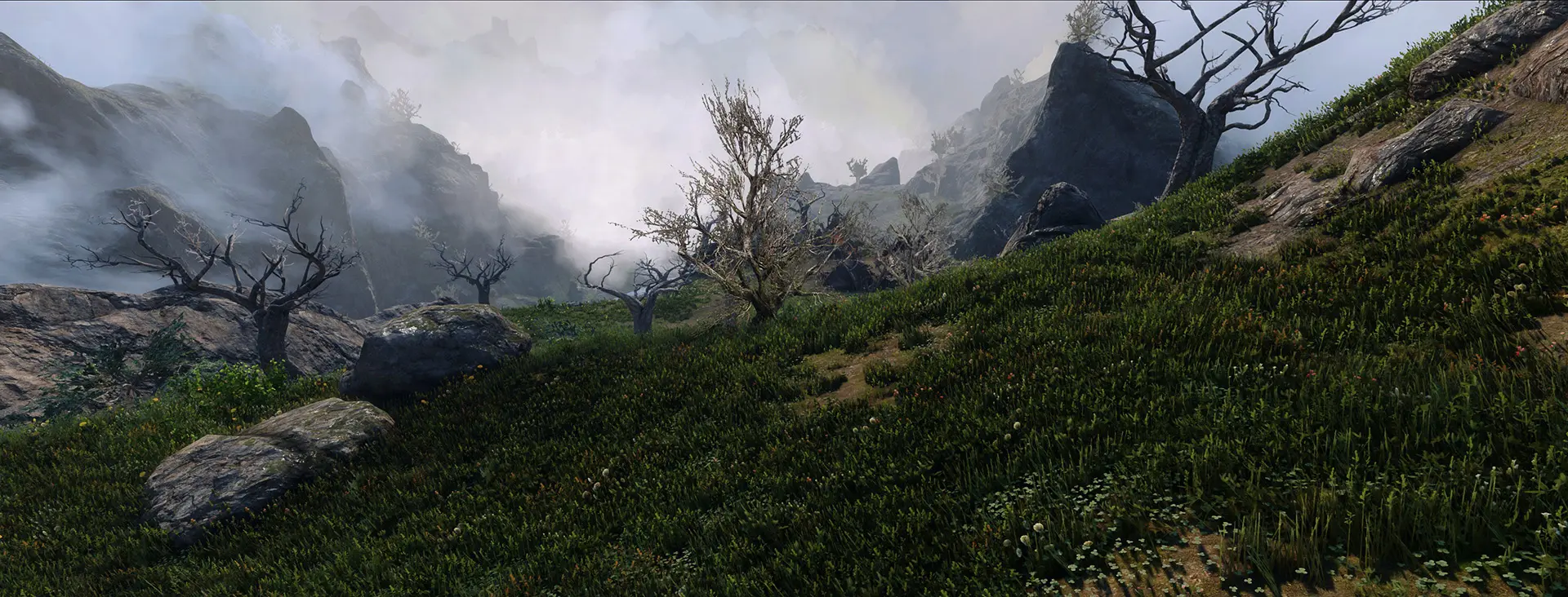 Veydosebrom Regions - A Skyrim Grass Overhaul - ENB Complex Grass at ...