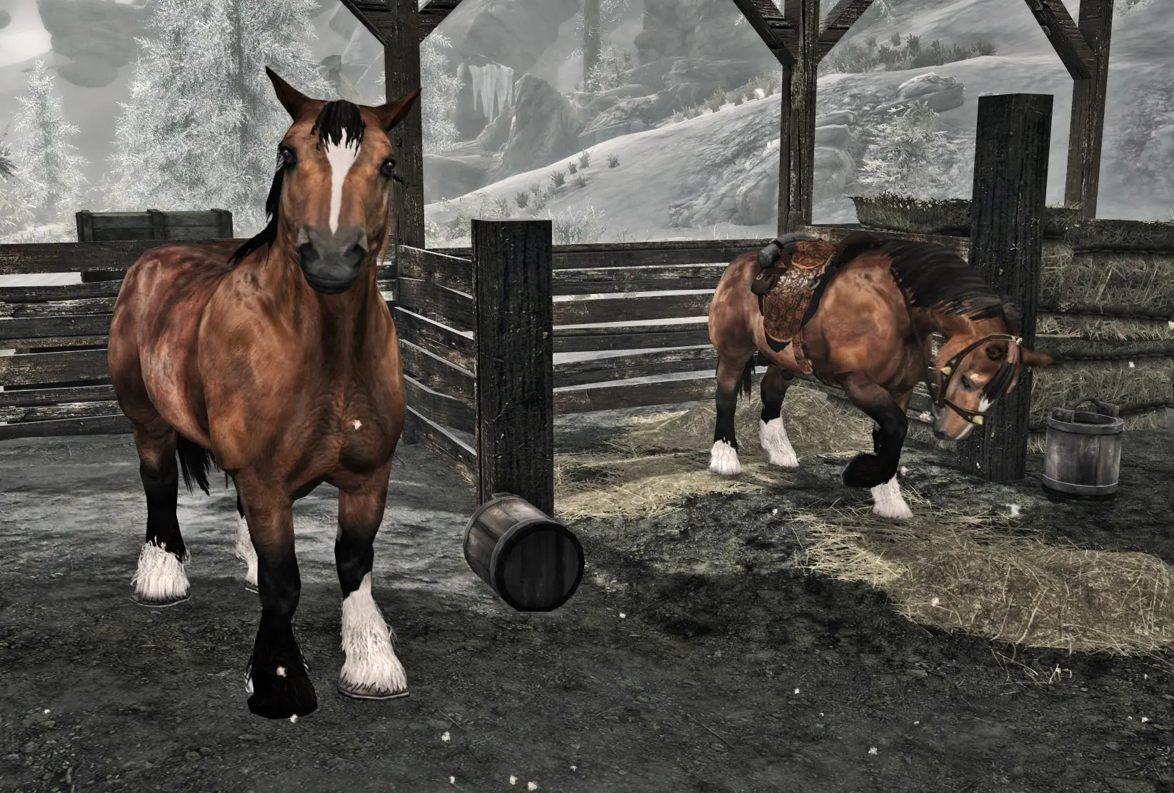 skyrim dapplegrey horse skyrim dapplegrey horse