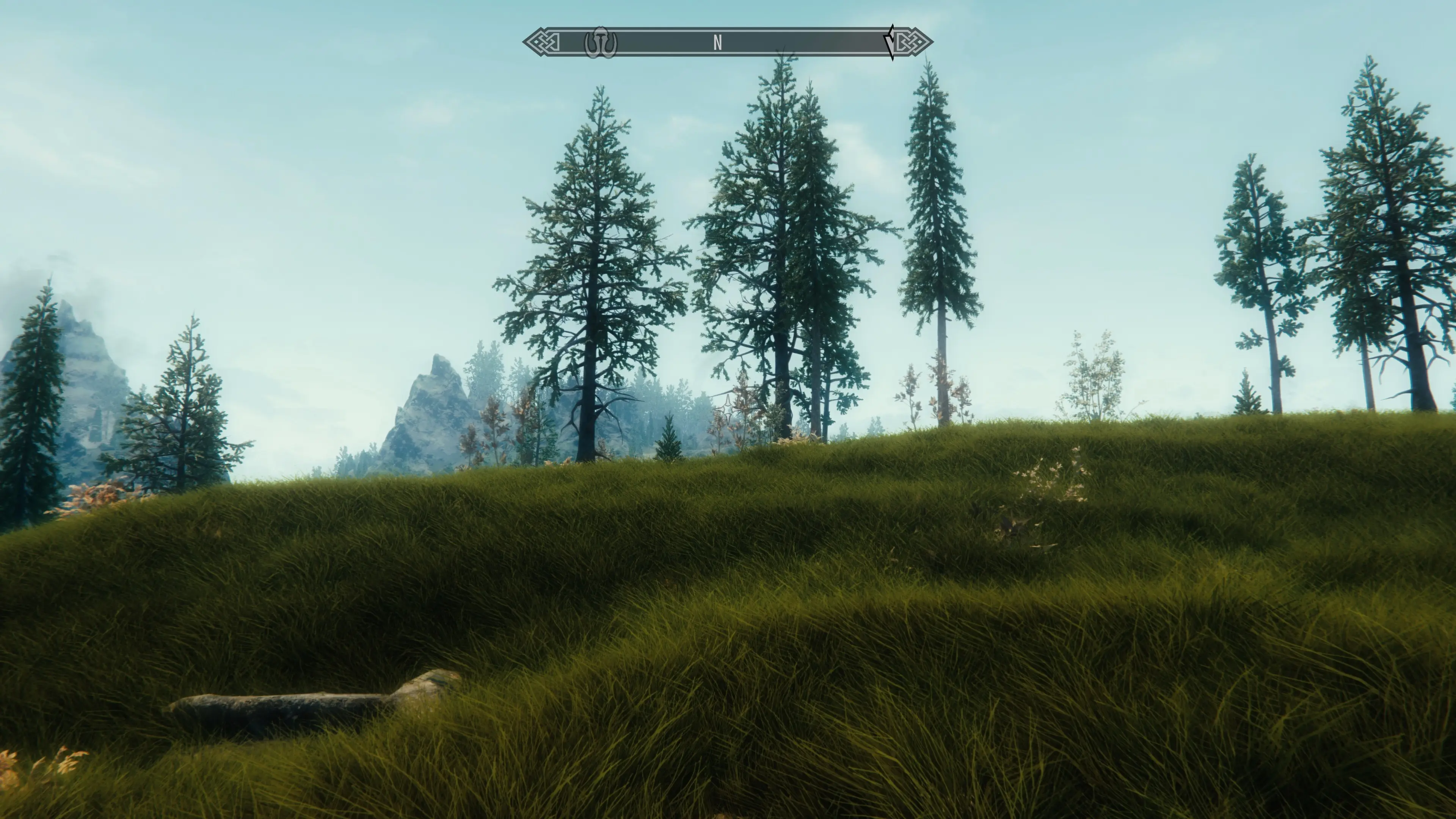 Skyrim se grass mod. Skyrim grass Mod.