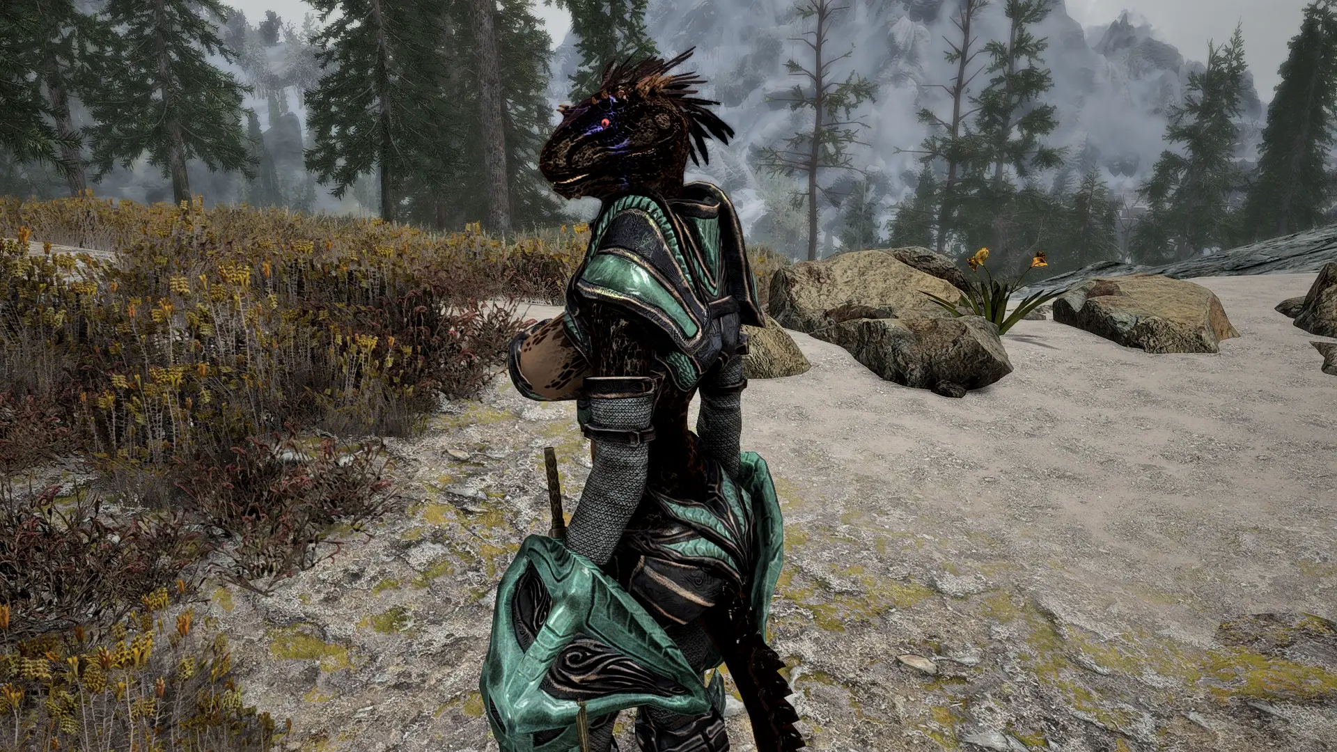 Felicity The Female Argonian Se At Skyrim Special Edition Nexus - Mods 