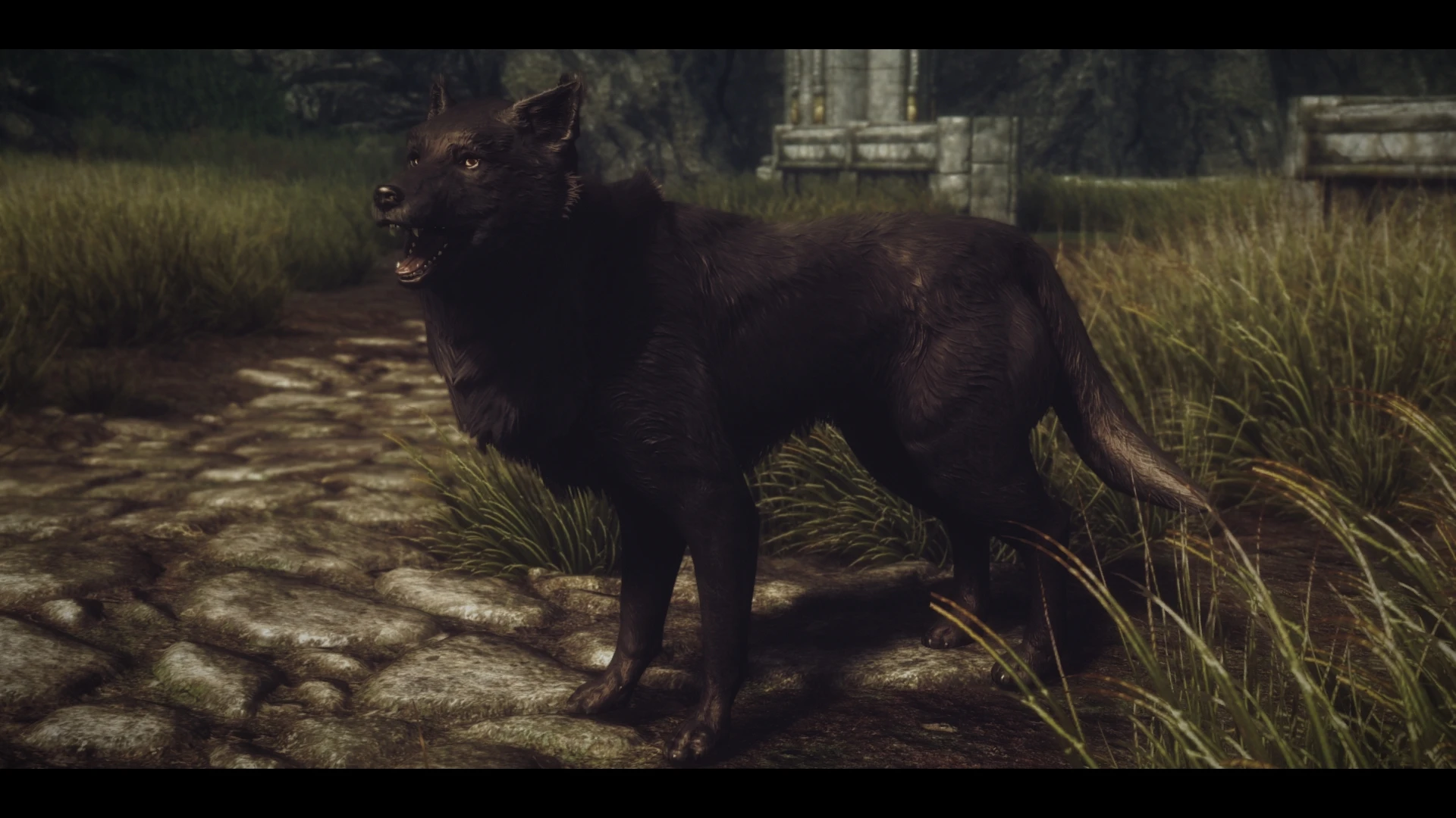 skyrim wolf companion mod