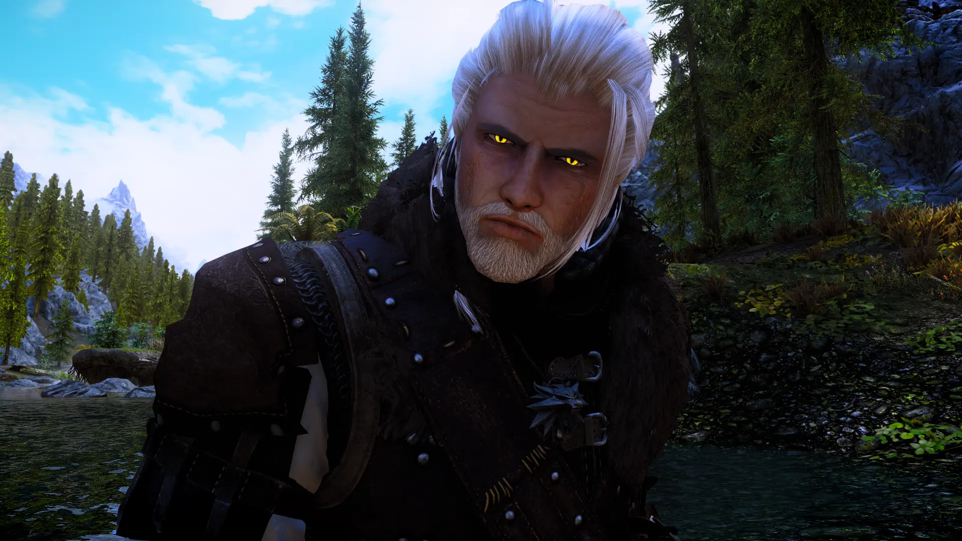 The Witcher 3 High Poly Presets at Skyrim Special Edition Nexus - Mods ...