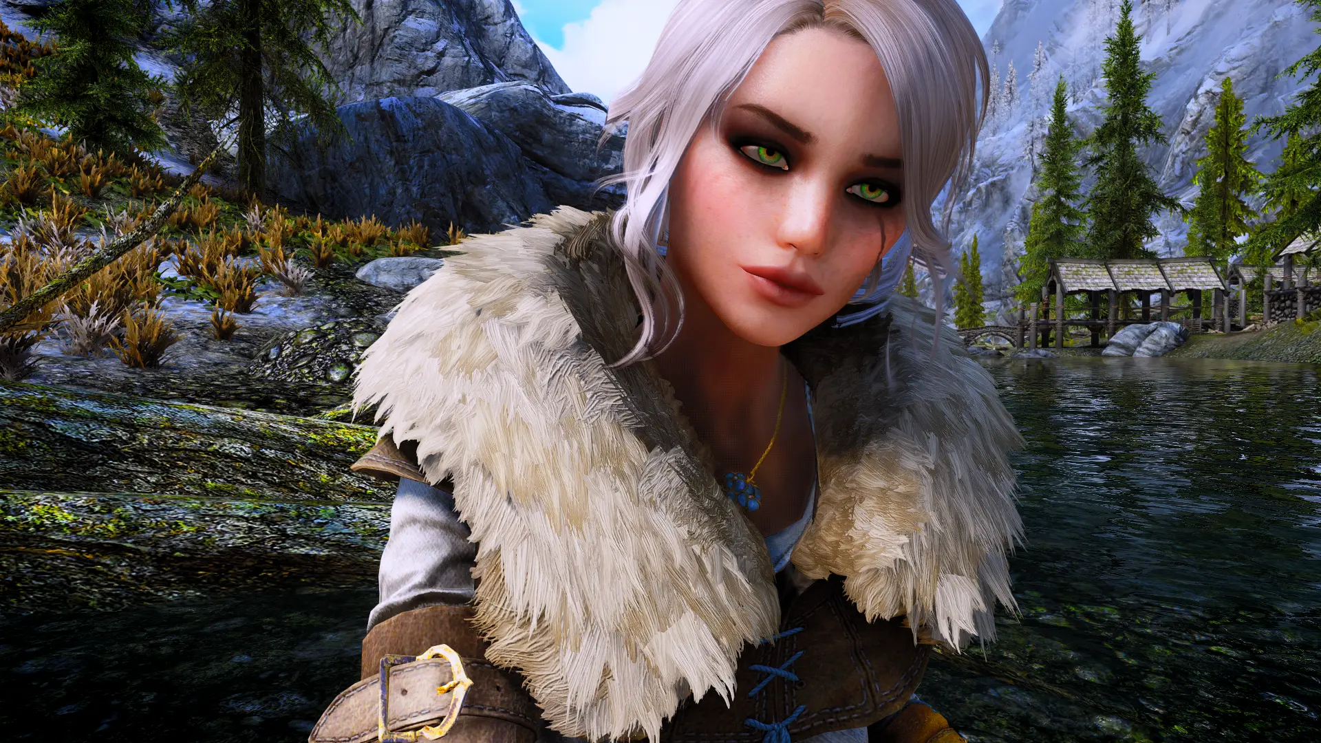 Racemenu special edition. Skyrim Ciri preset. Пресет Цири для скайрим. Скайрим пресет Ведьмака. Skyrim se Witcher 3 preset.