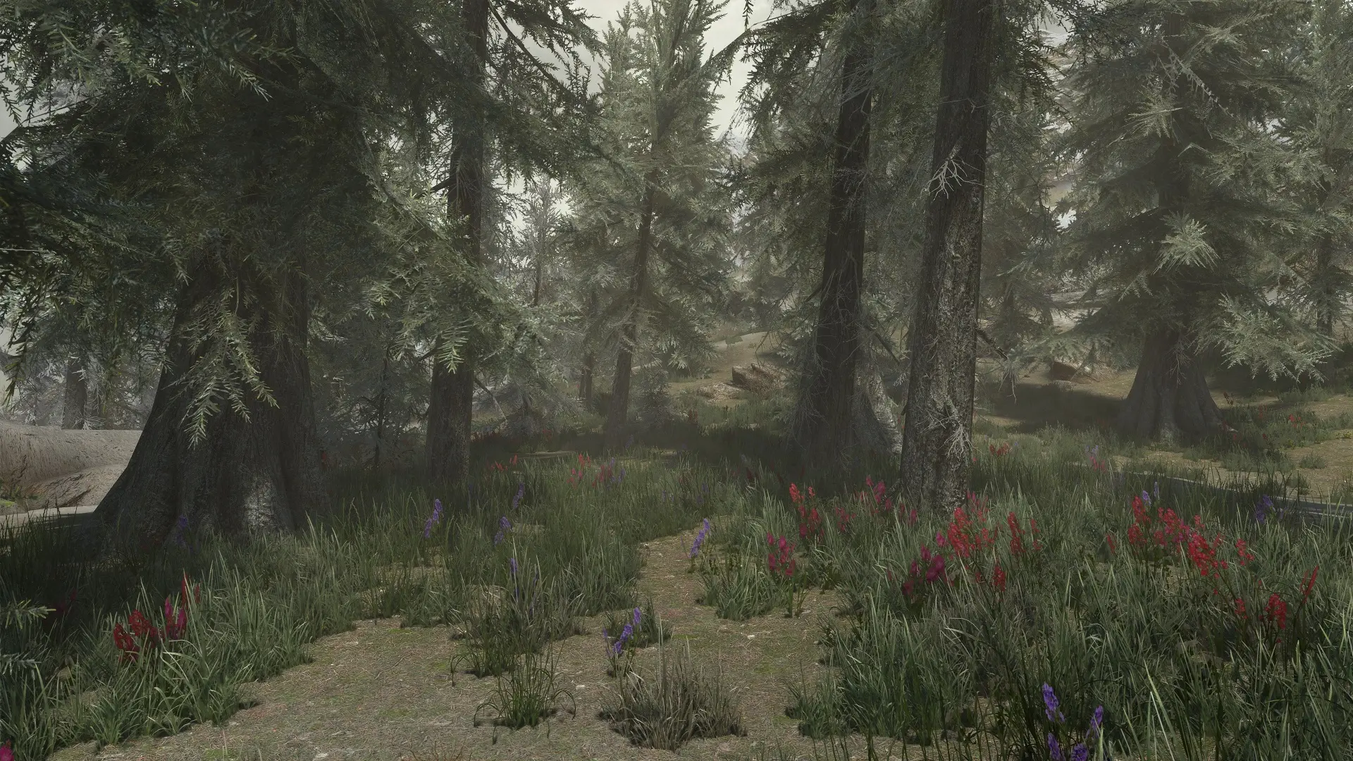 Unique Solstheim Grass at Skyrim Special Edition Nexus - Mods and Community