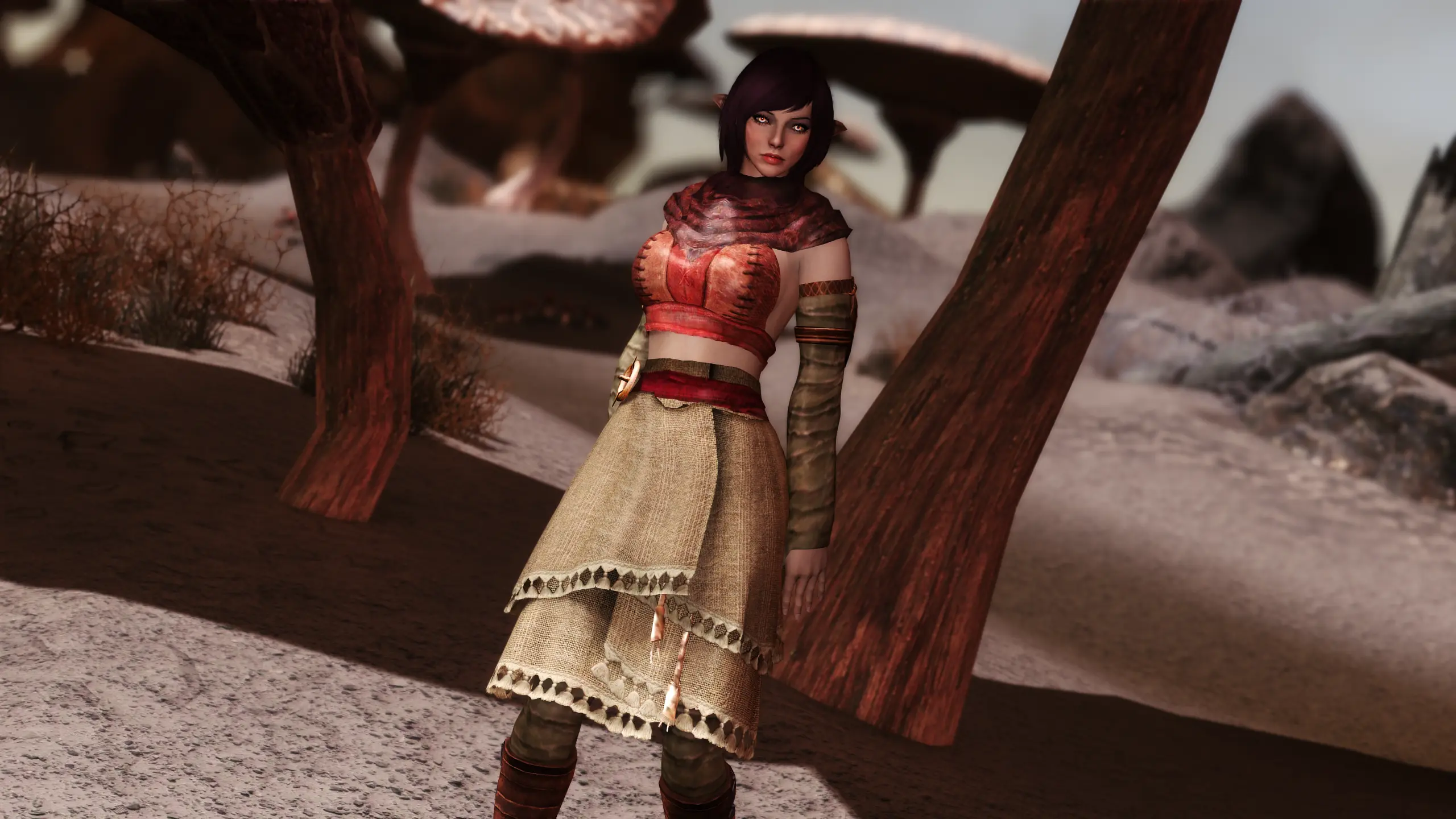 Bodyslide skyrim. Skyrim Tribe Dresses. * Julan ashlander Companion 2.02.