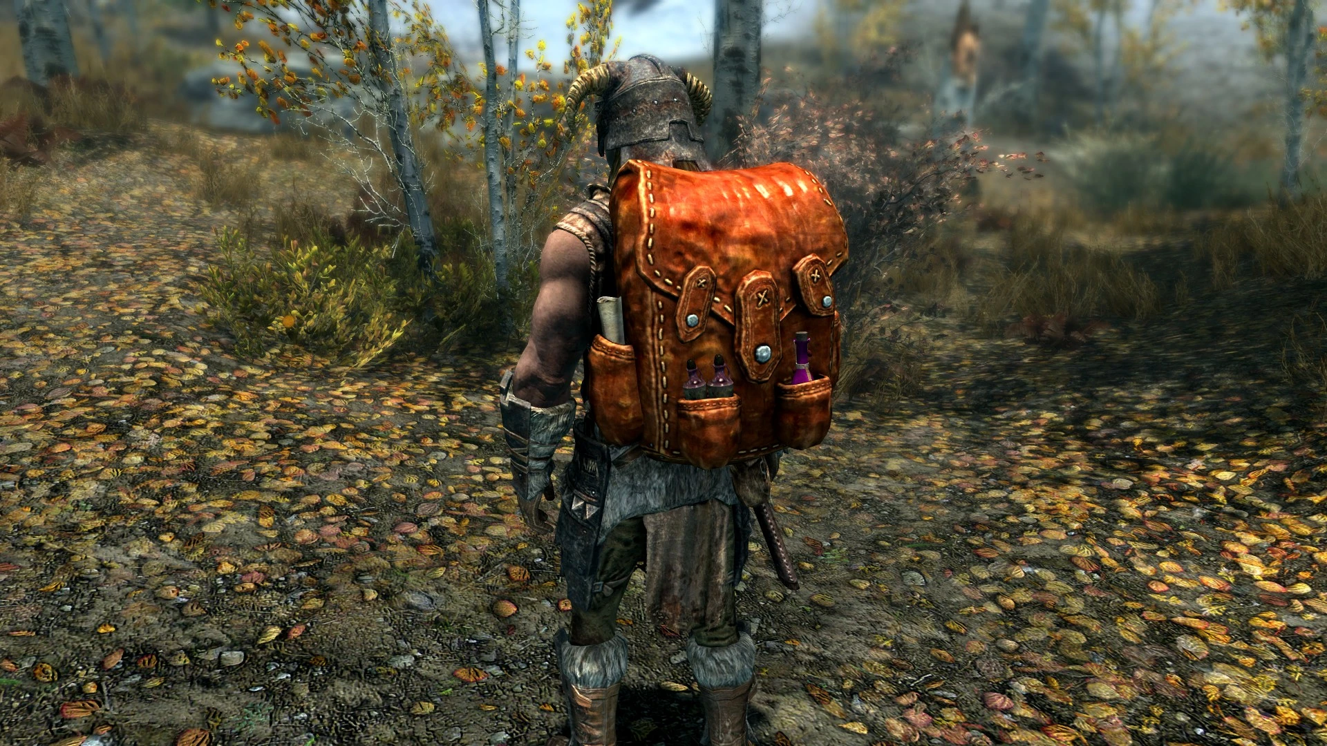 Alchemist Backpack at Skyrim Special Edition Nexus - Mods and Community. so...