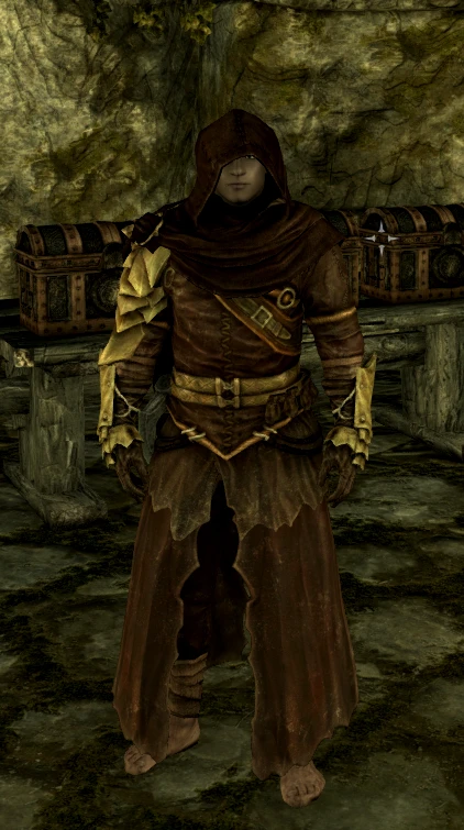 Armored Cultist Robes At Skyrim Special Edition Nexus Mods And Community