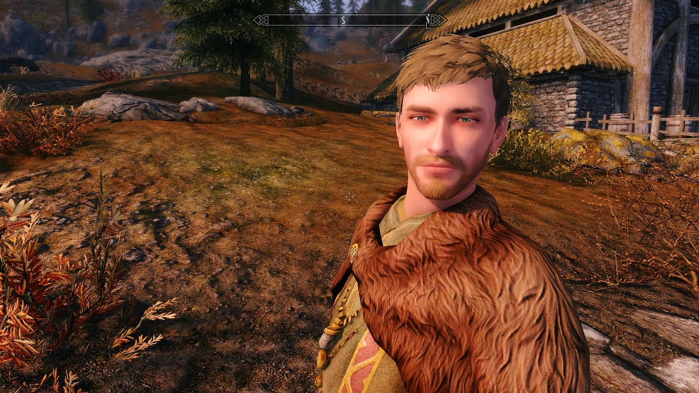 skyrim se male replacer