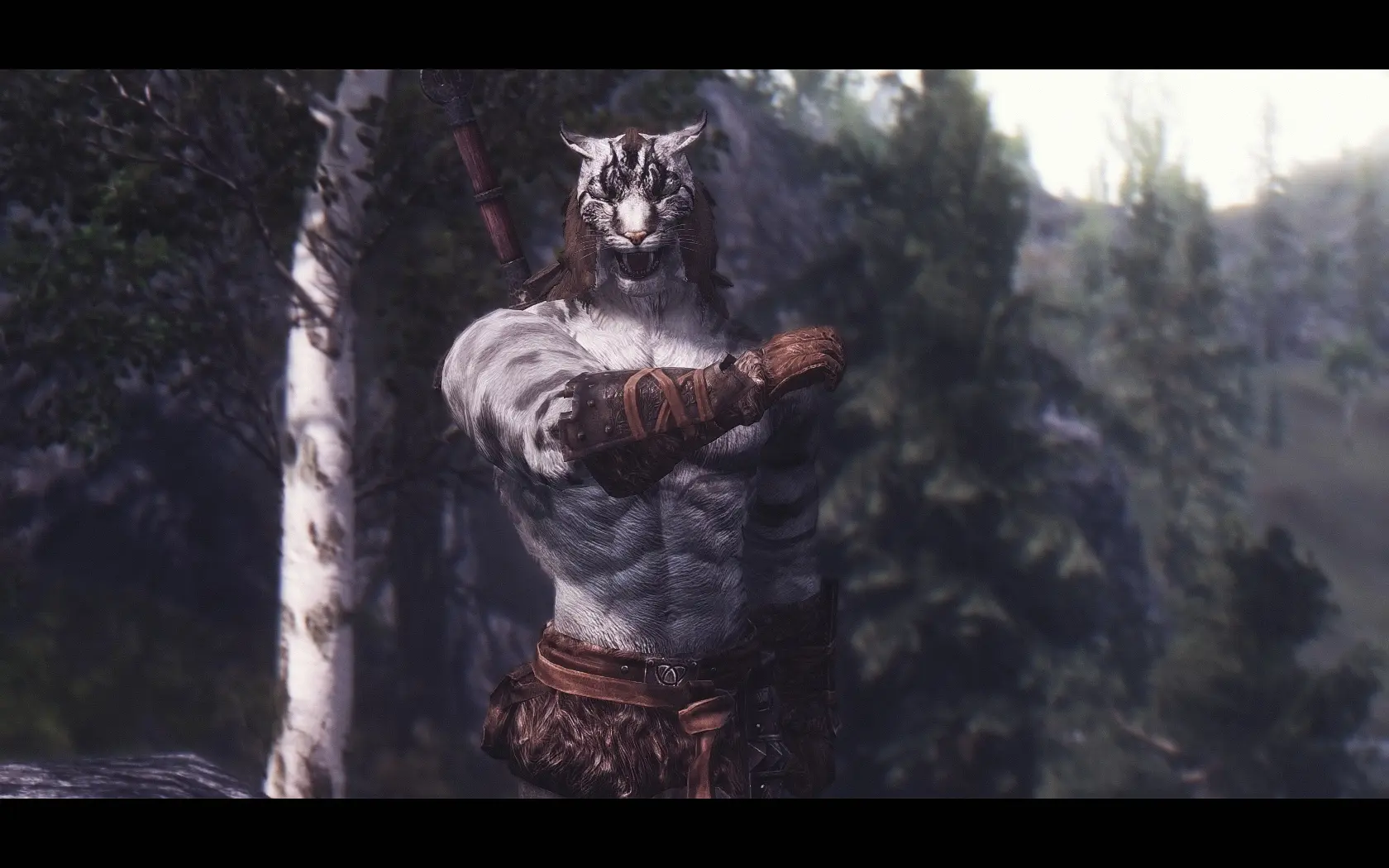 Skyrim special edition khajiit texture mod