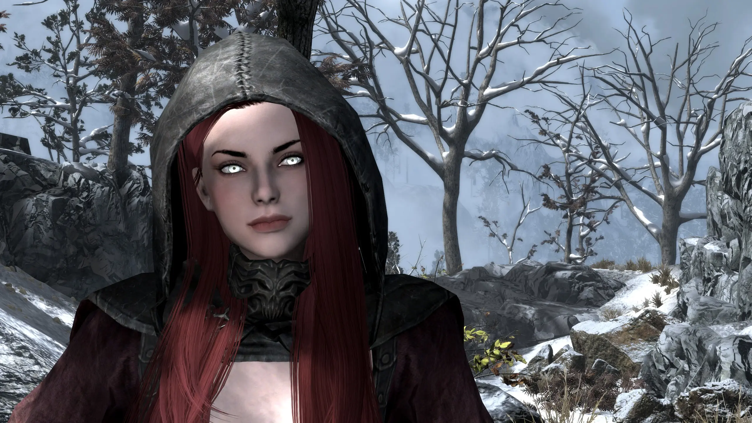 Hood Plus Hair for Seranaholics at Skyrim Special Edition Nexus - Mods ...