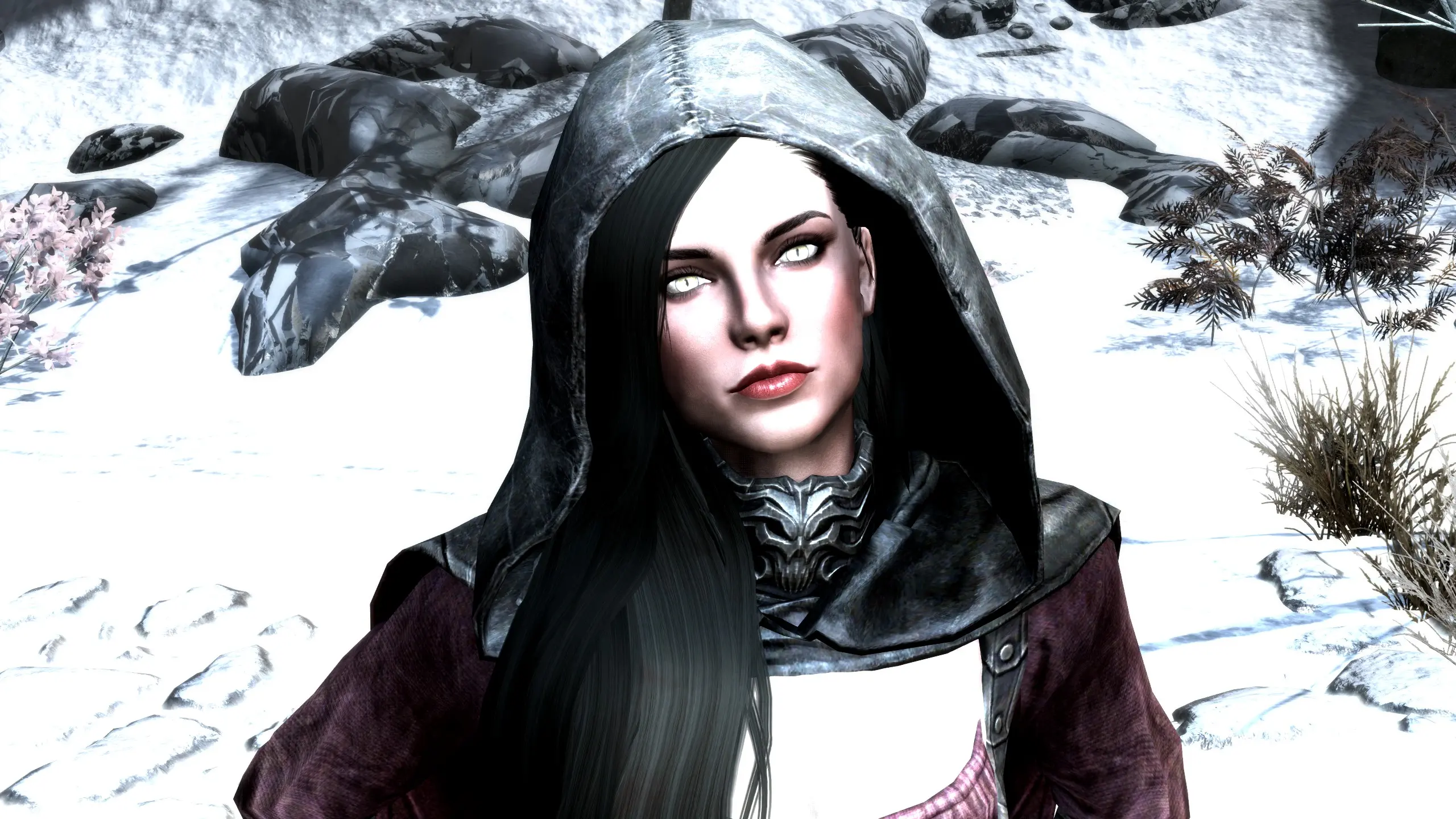 Hood Plus Hair For Seranaholics At Skyrim Special Edition Nexus - Mods 