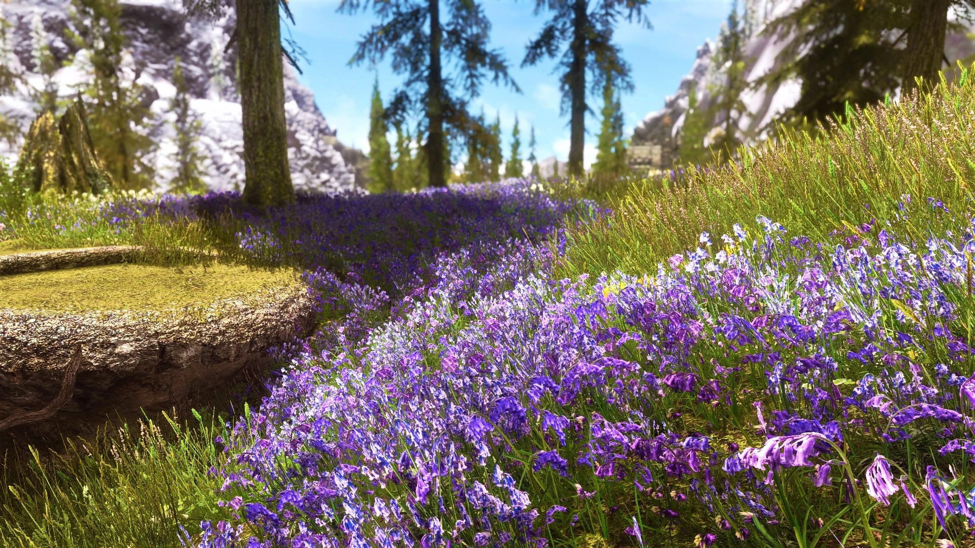 Flower Fields Sound Bug Fix at Skyrim Special Edition Nexus - Mods and