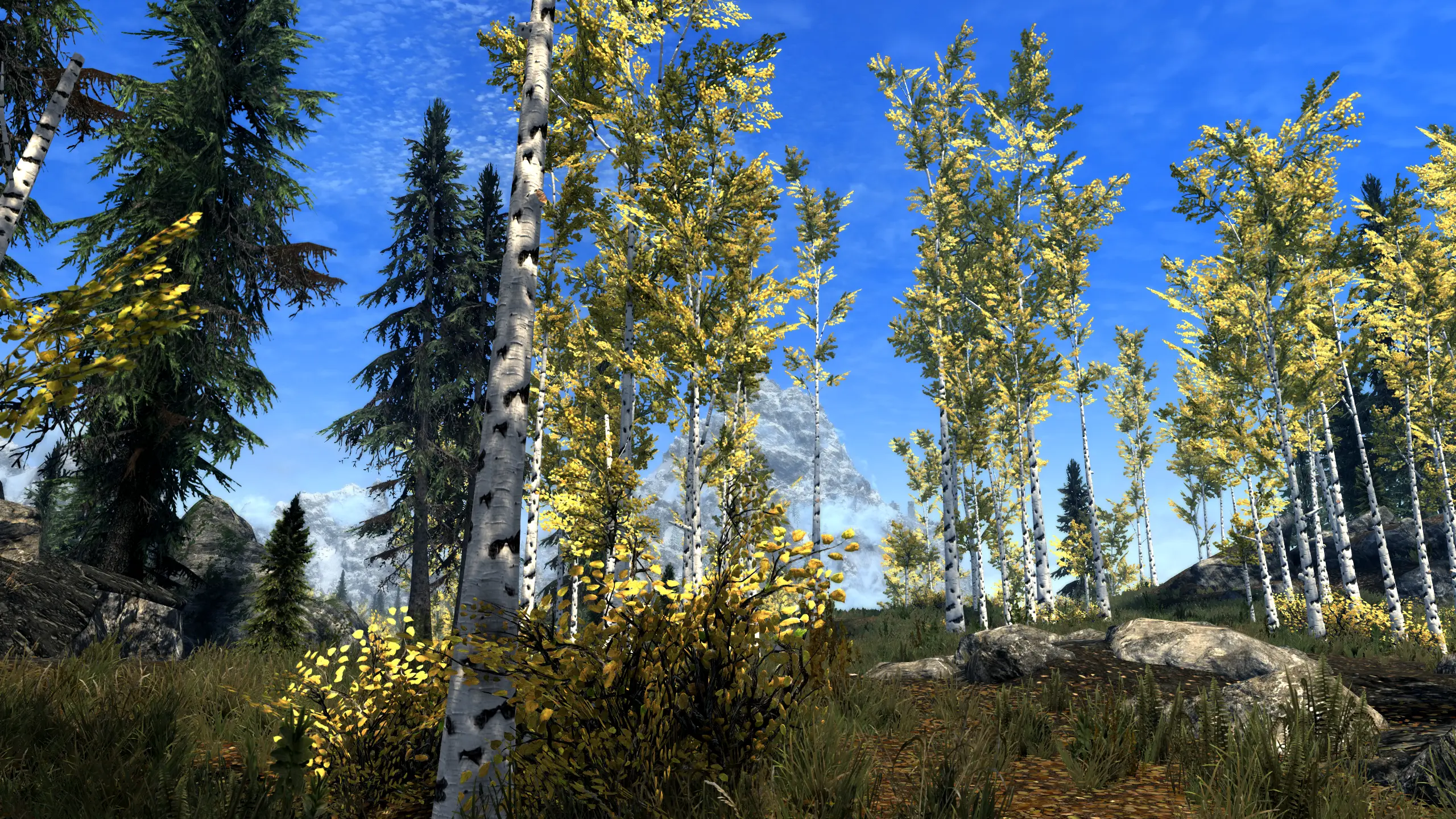 Aspen Realism at Skyrim Special Edition Nexus - Mods and Community