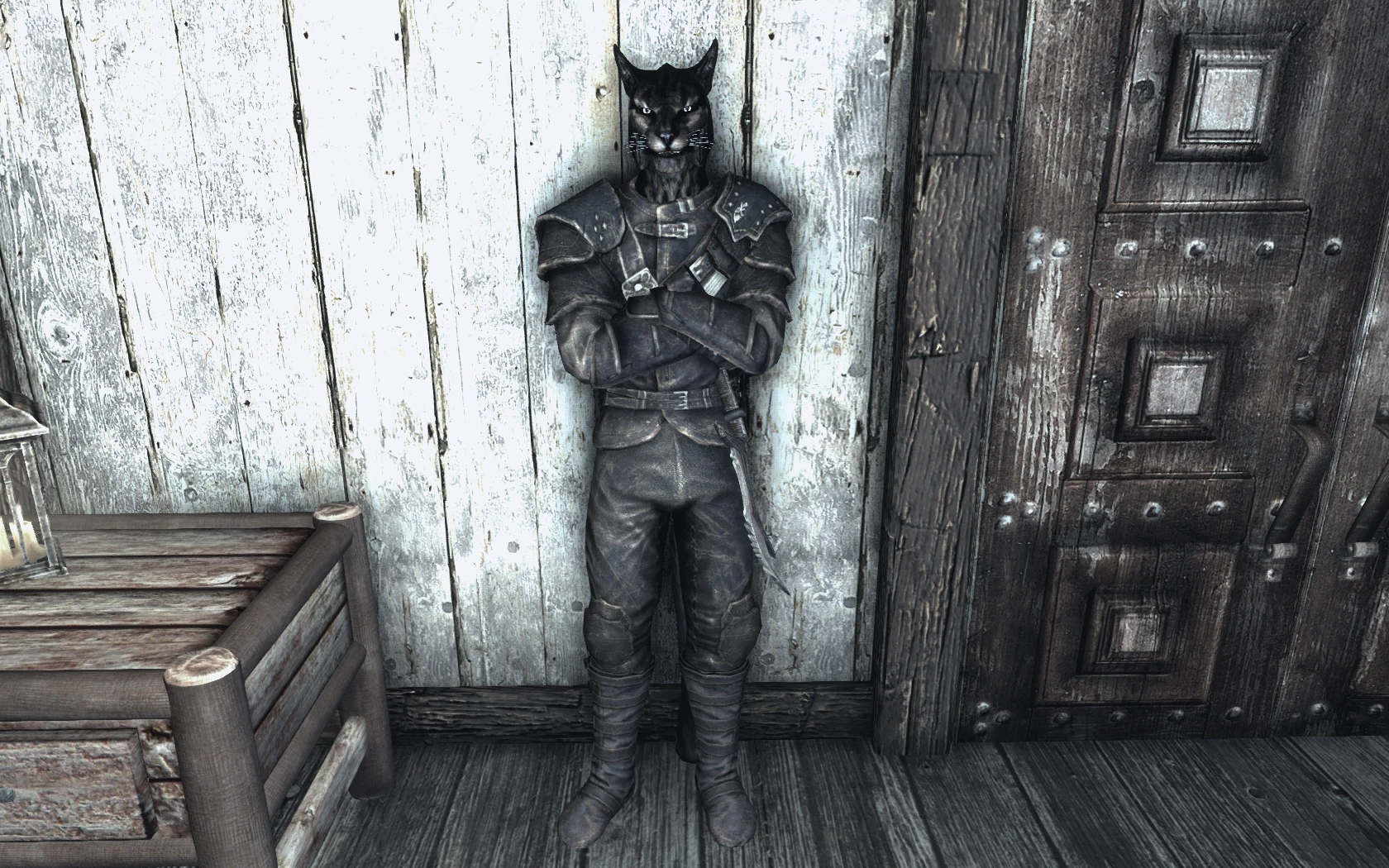 Safir The Black Cat At Skyrim Special Edition Nexus Mods And Community