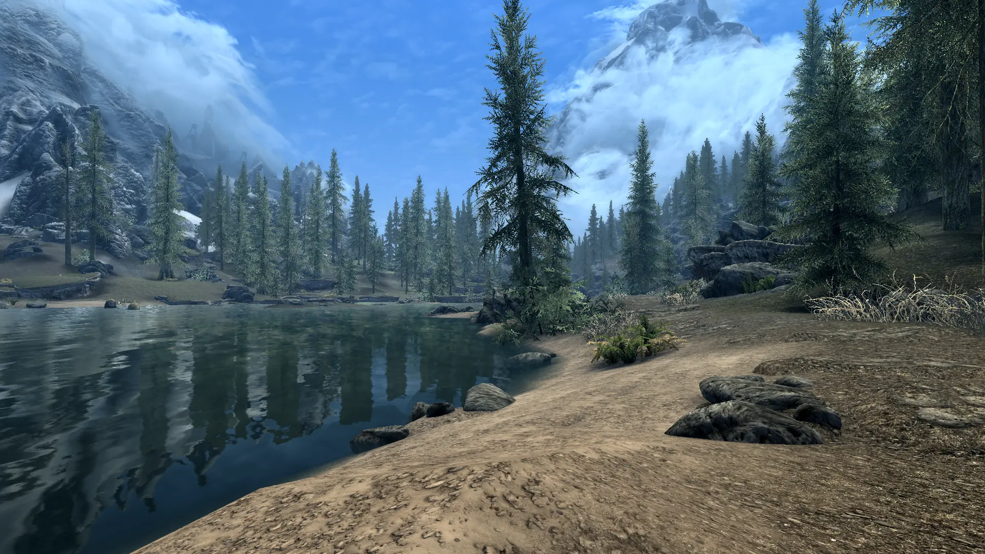 No More Vanilla Grass at Skyrim Special Edition Nexus - Mods and Community