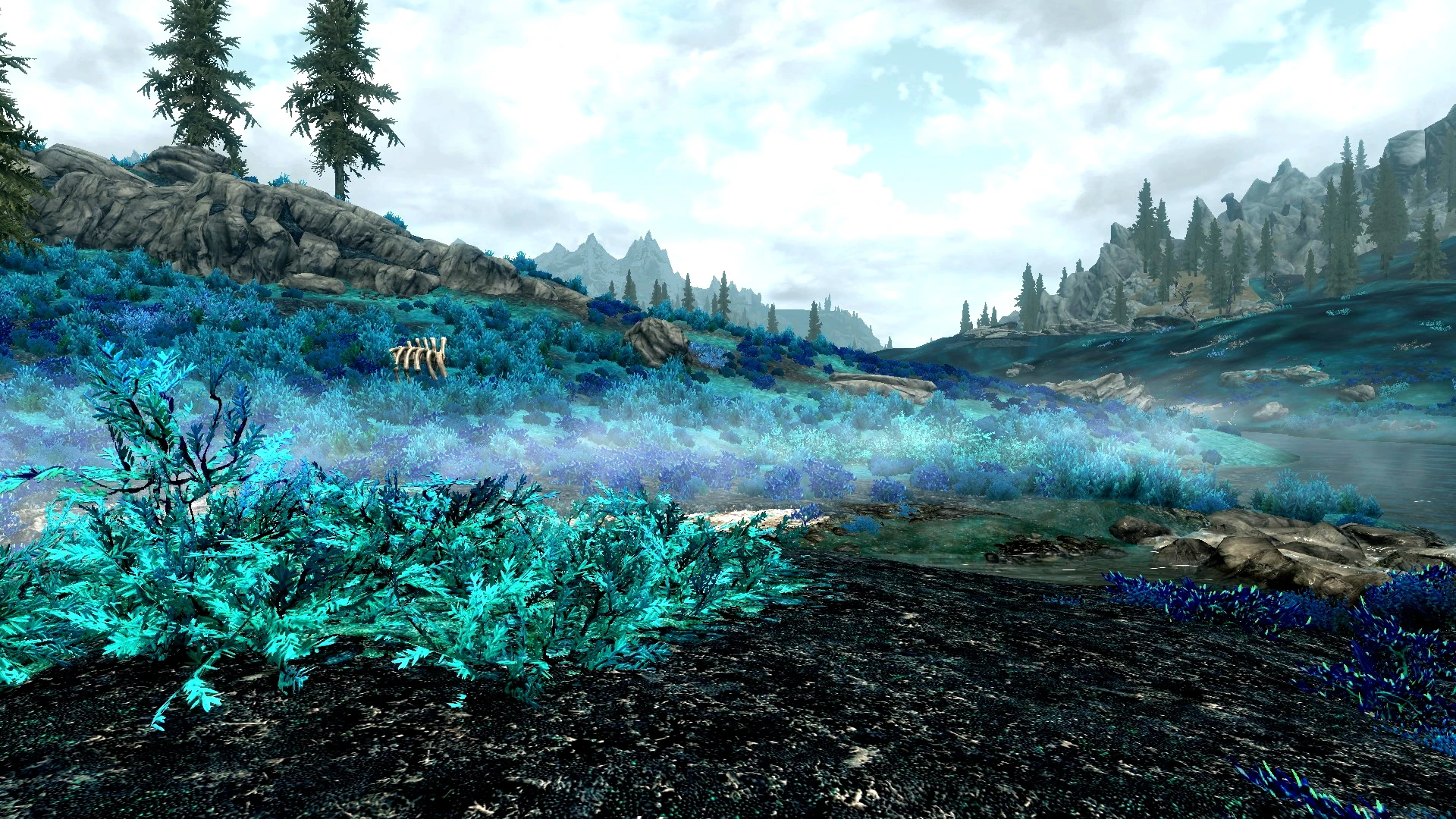 Skyrim grass mod