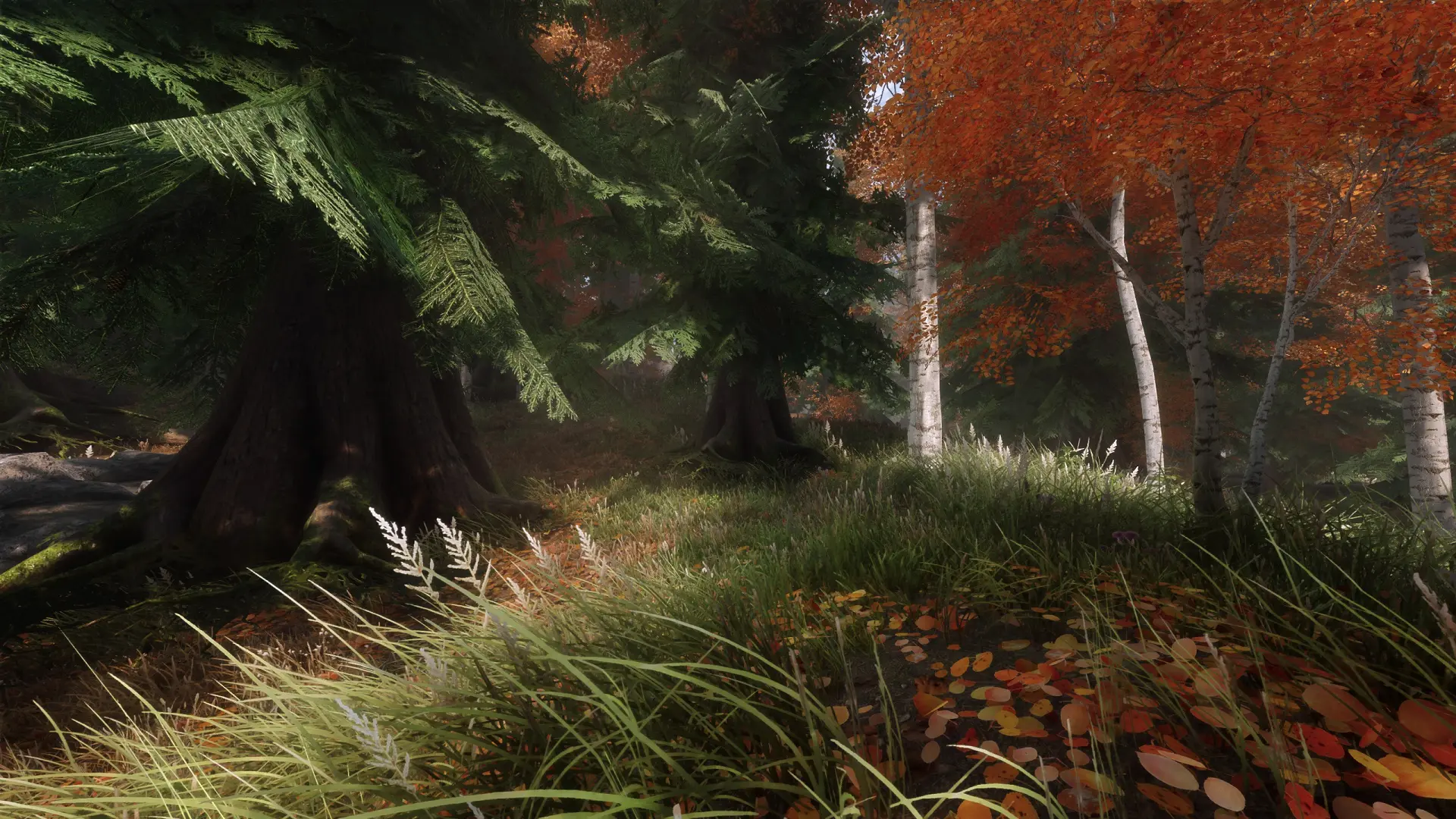 Folkvangr - Grass and Landscape Overhaul at Skyrim Special Edition ...