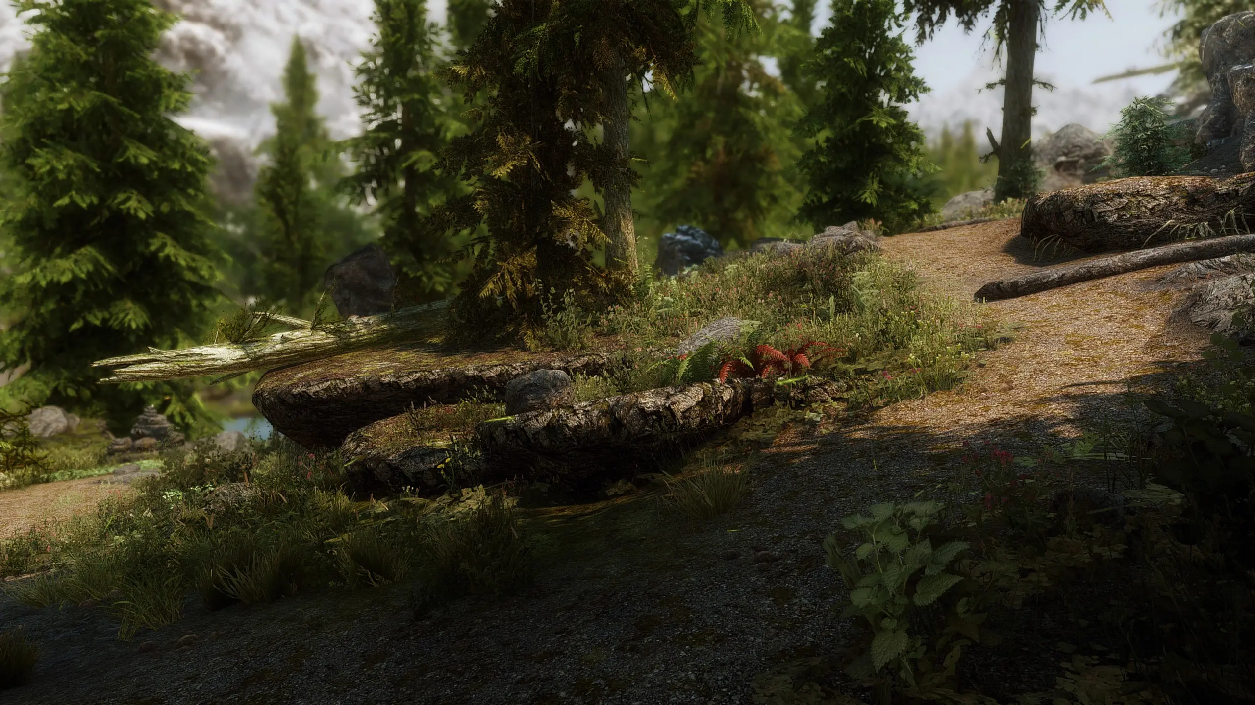 Tamrielic Grass at Skyrim Special Edition Nexus - Mods and Community