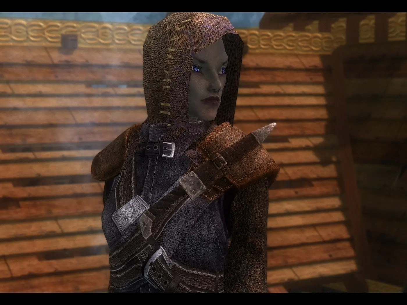 skyrim thieves guild extra work skyrim thieves guild extra work