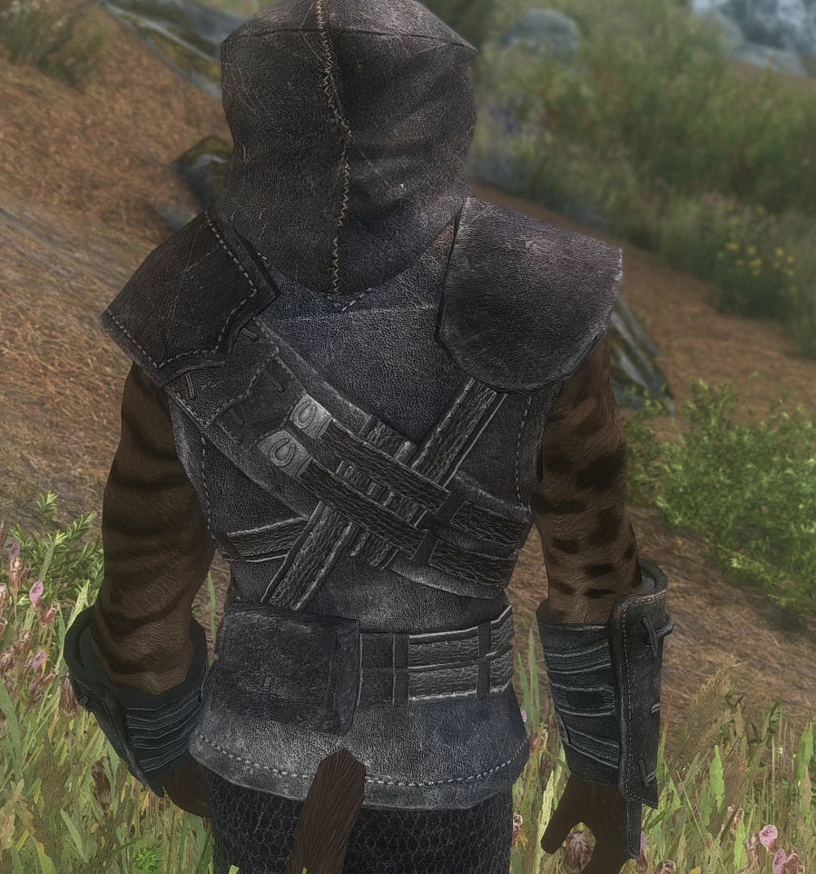 skyrim se thieves guild armor mod