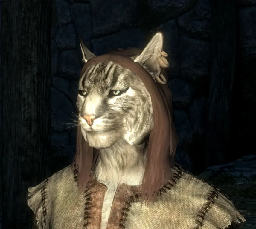 skyrim best khajiit hair mods