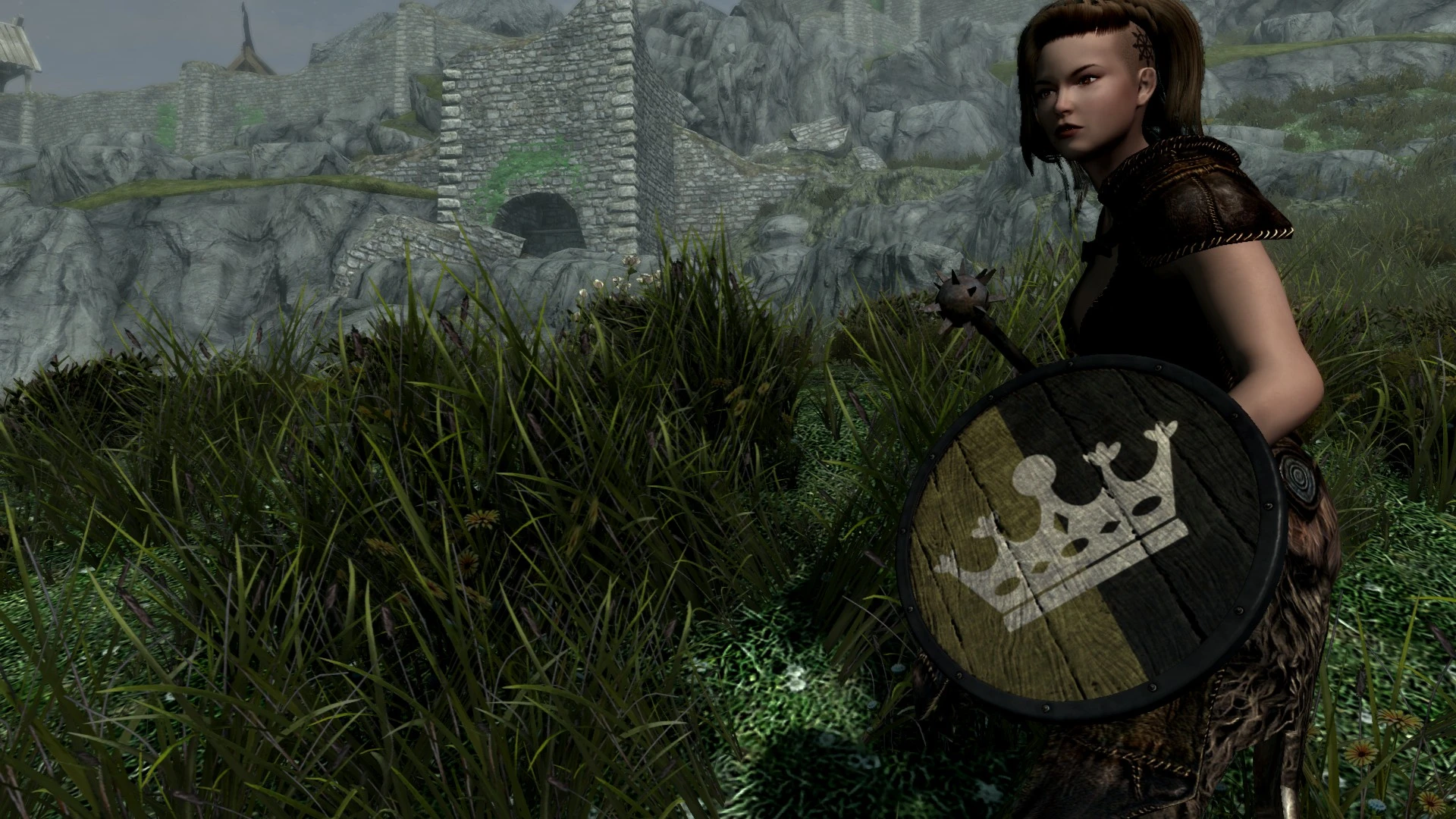 Heraldic Shield Pack At Skyrim Special Edition Nexus Mods And Community   48387 1618091231 1670674846 