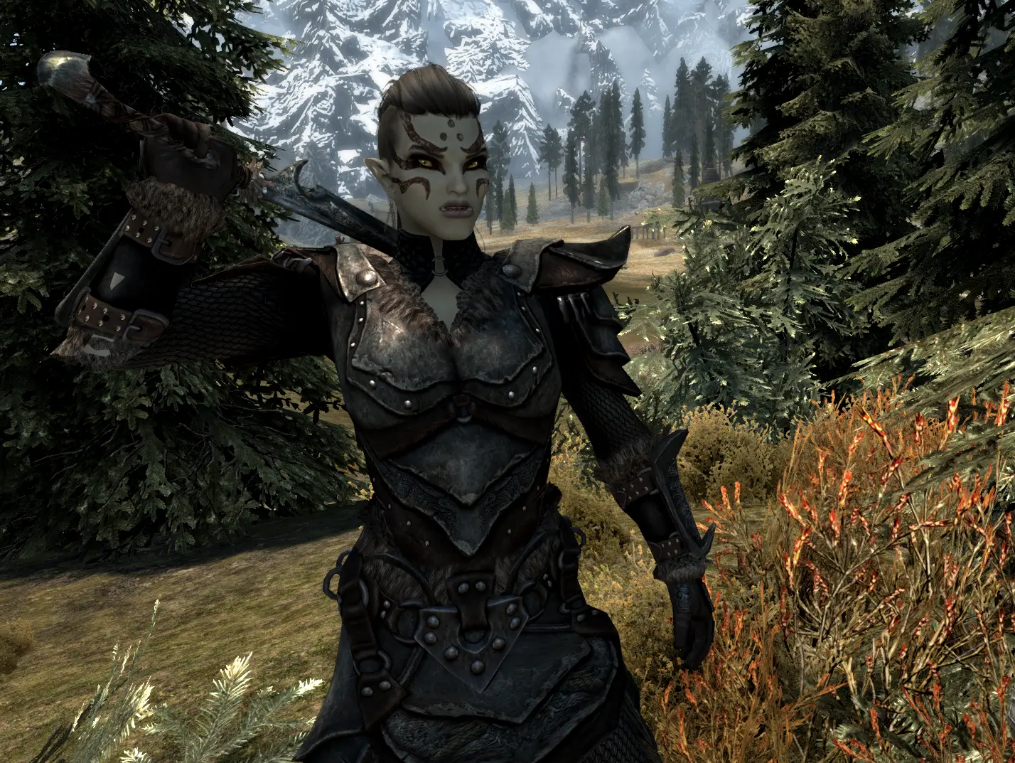 Skyrim special edition mods