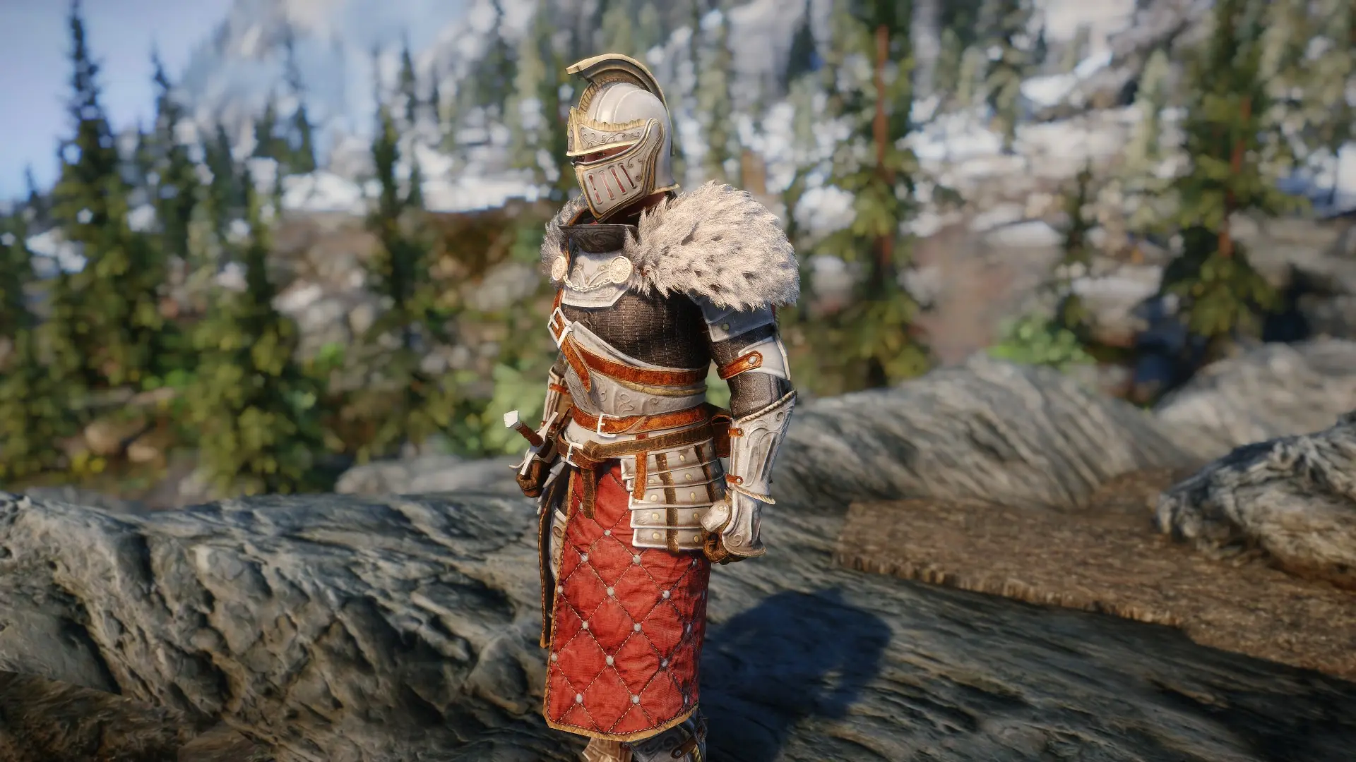 Скайрим броня паладина. Regal Paladin Armor. Skyrim Paladin Armor. Броня паладина скайрим se. Skyrim se броня паладина.