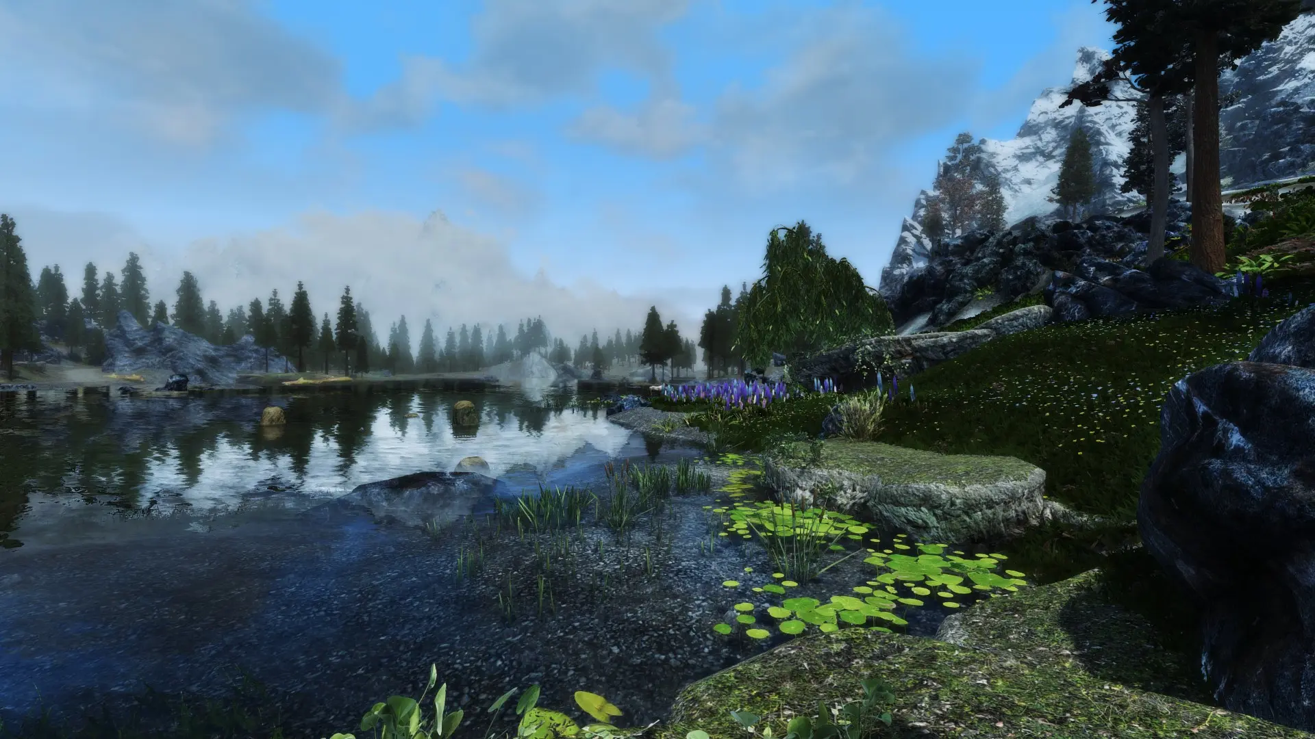 The Grass Your Mother Warned About at Skyrim Special Edition Nexus ...