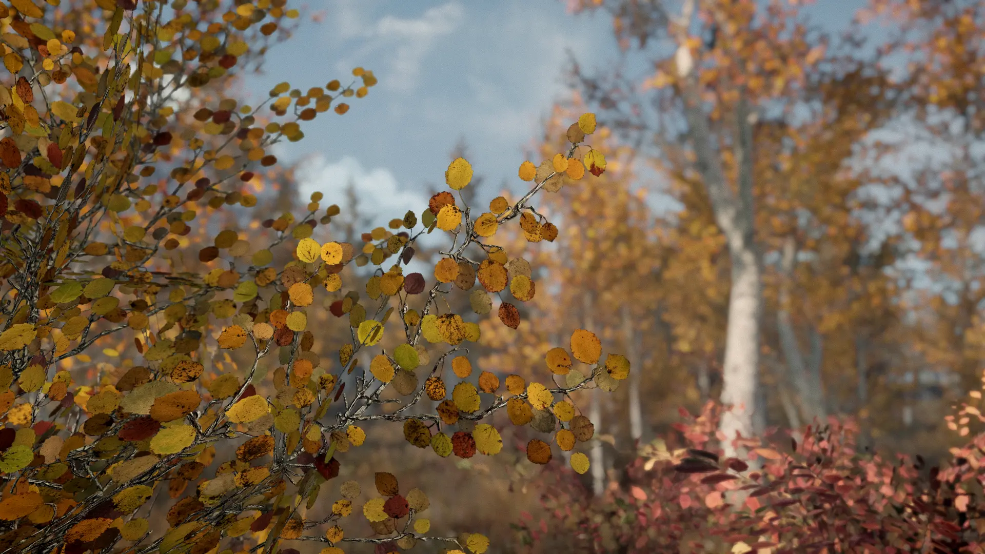 Aspen Branches Redone at Skyrim Special Edition Nexus - Mods and Community