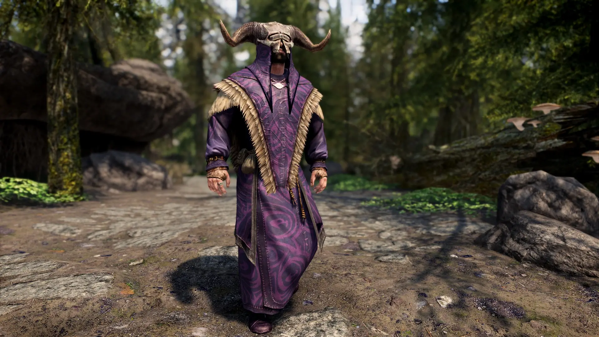 Cultist of Vaermina - Armor at Skyrim Special Edition Nexus - Mods and ...