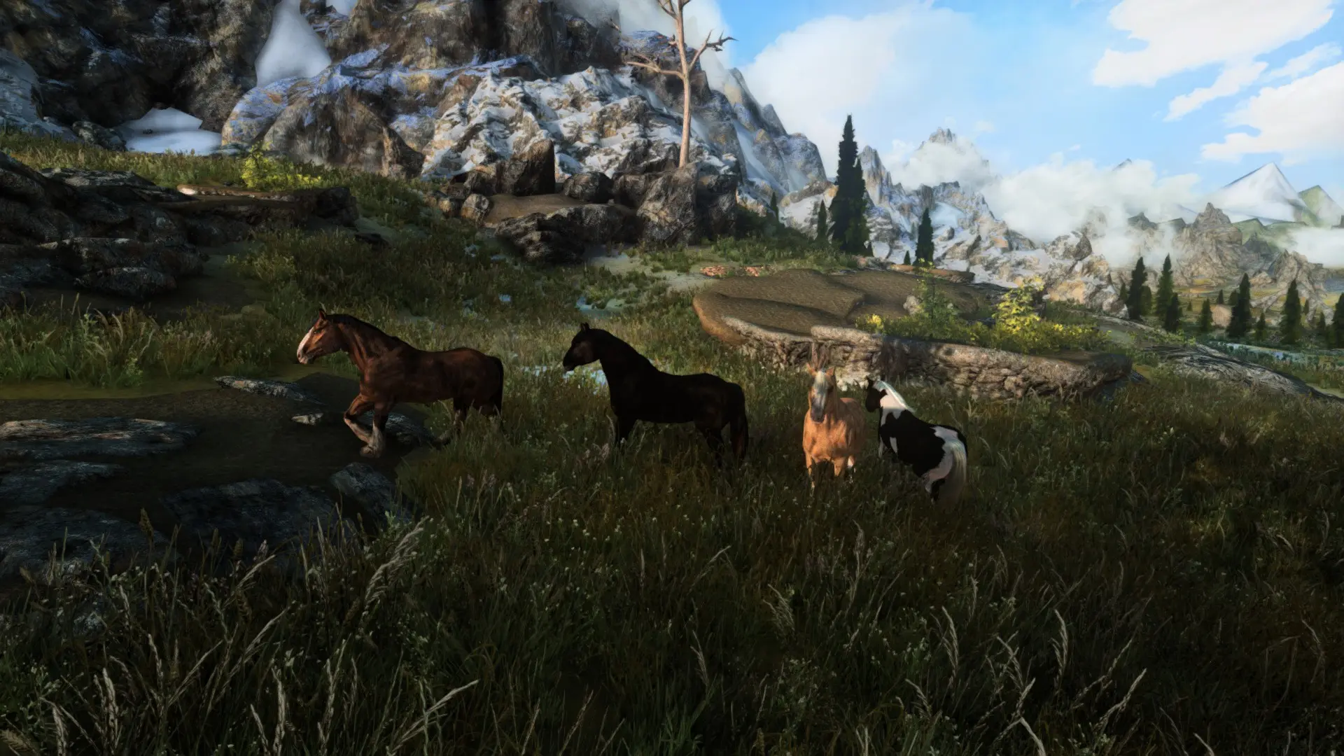 Wild Horses At Skyrim Special Edition Nexus Mods And Community   61424 1641518357 482746893 