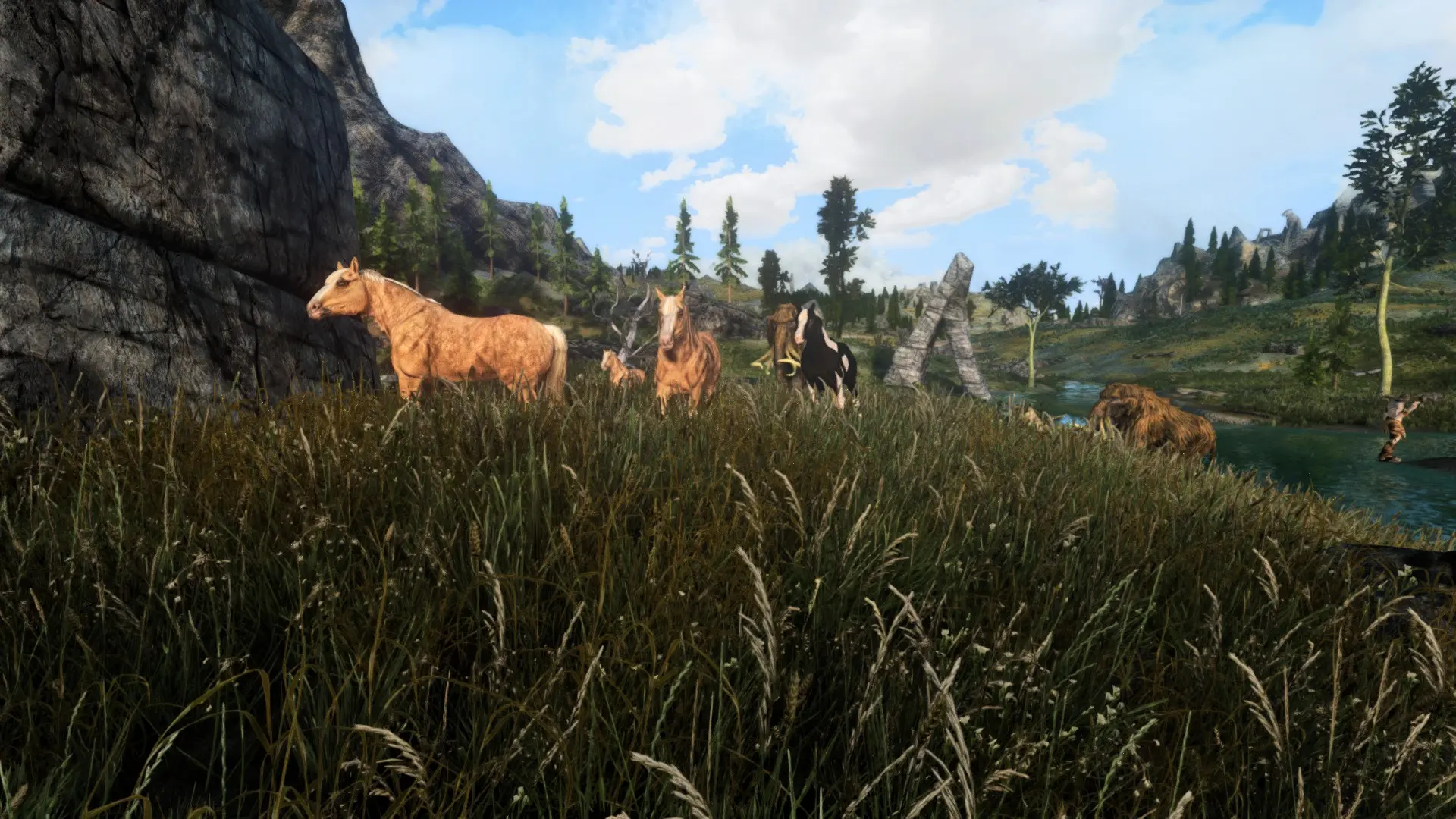 Wild Horses At Skyrim Special Edition Nexus Mods And Community   61424 1641518368 1871822790 