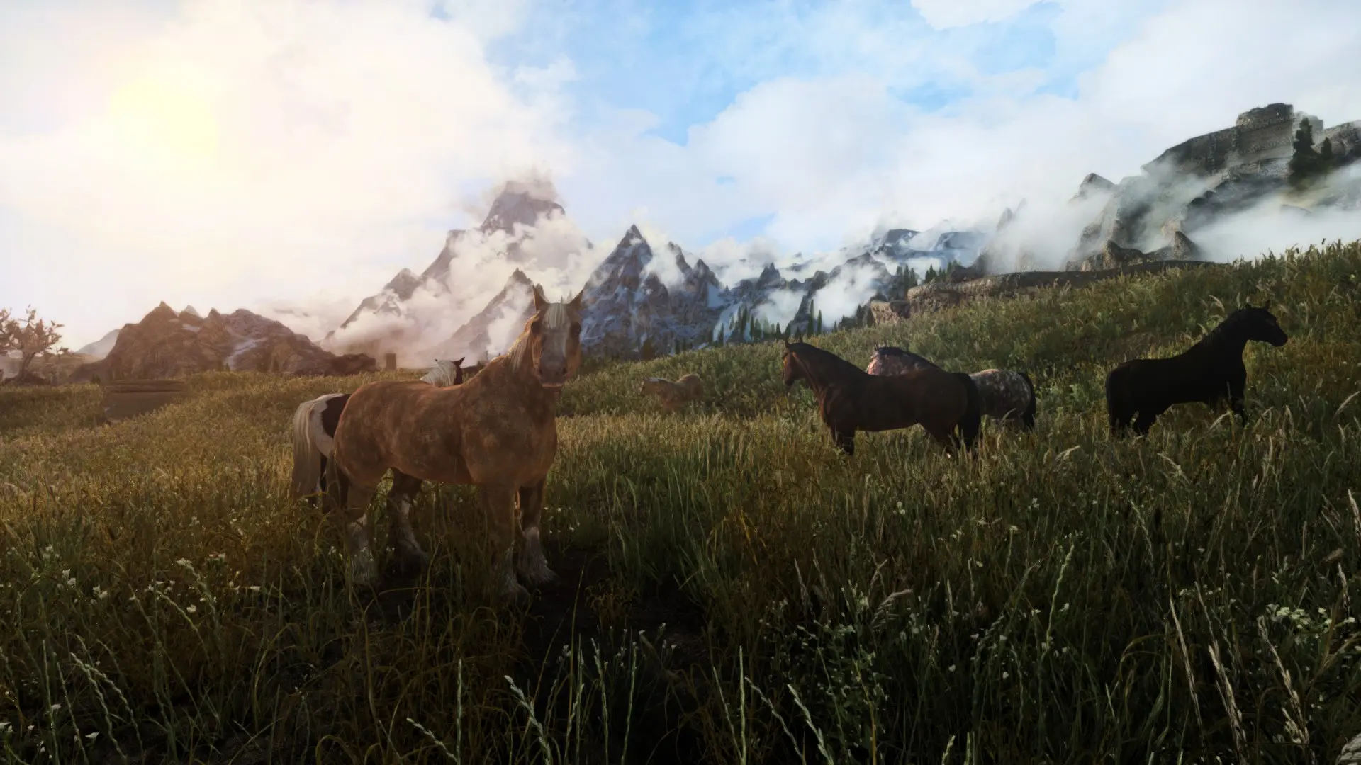 Wild Horses At Skyrim Special Edition Nexus Mods And Community   61424 1641518394 584784201 