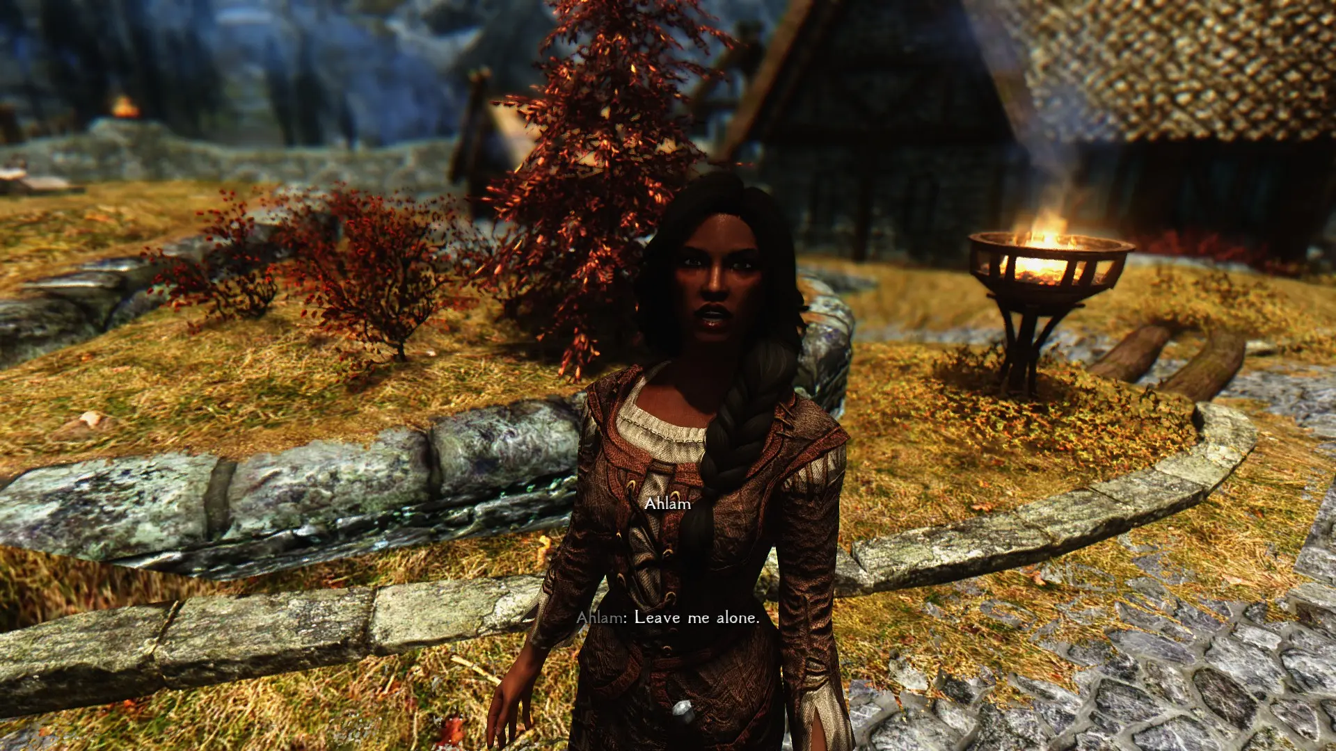 Relationship Dialogue Overhaul Skyrim Special Edition