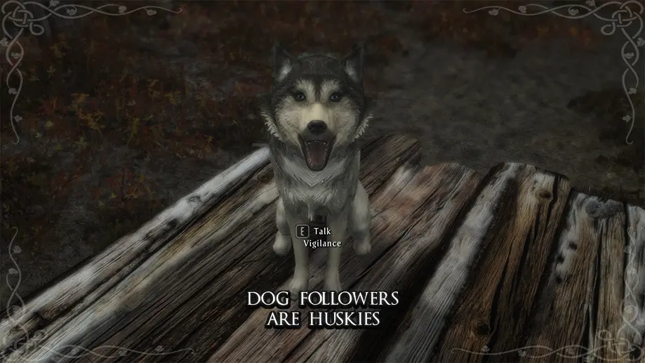 wolf follower skyrim special edition