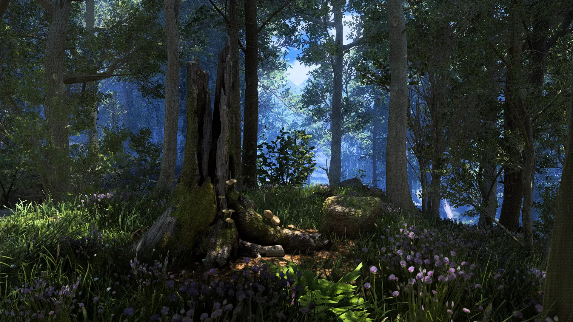 Nature of the Wild Lands - forest and trees improvement mod at Skyrim ...