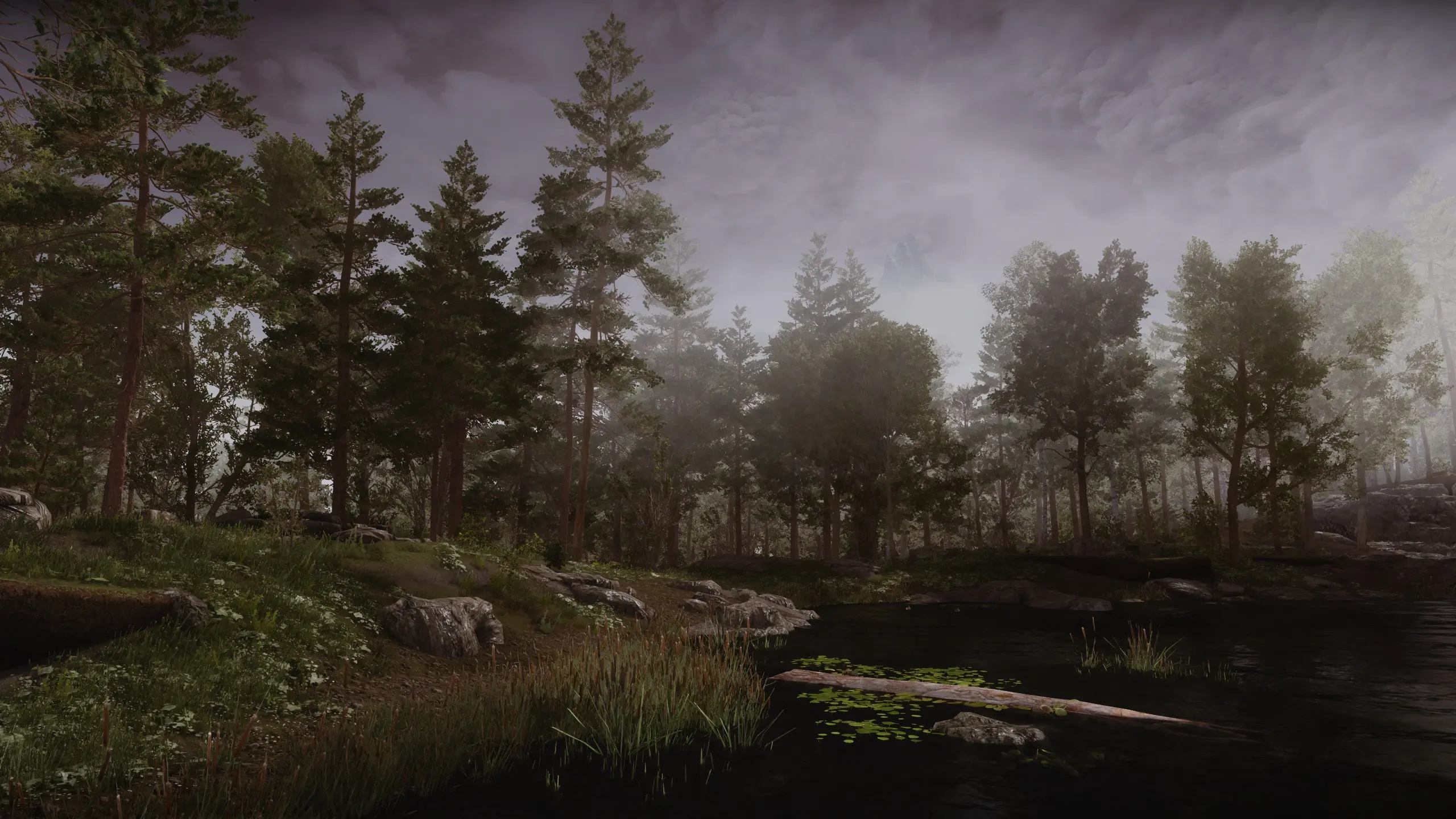 Nature of the Wild Lands - forest and trees improvement mod at Skyrim ...