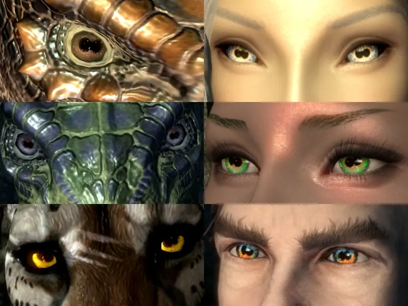 Hermaeus Mora Eye Textures at Skyrim Special Edition Nexus - Mods and ...