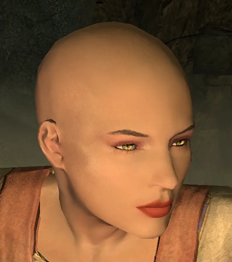 Completely Bald - Shaved Head at Skyrim Special Edition Nexus - Mods ...