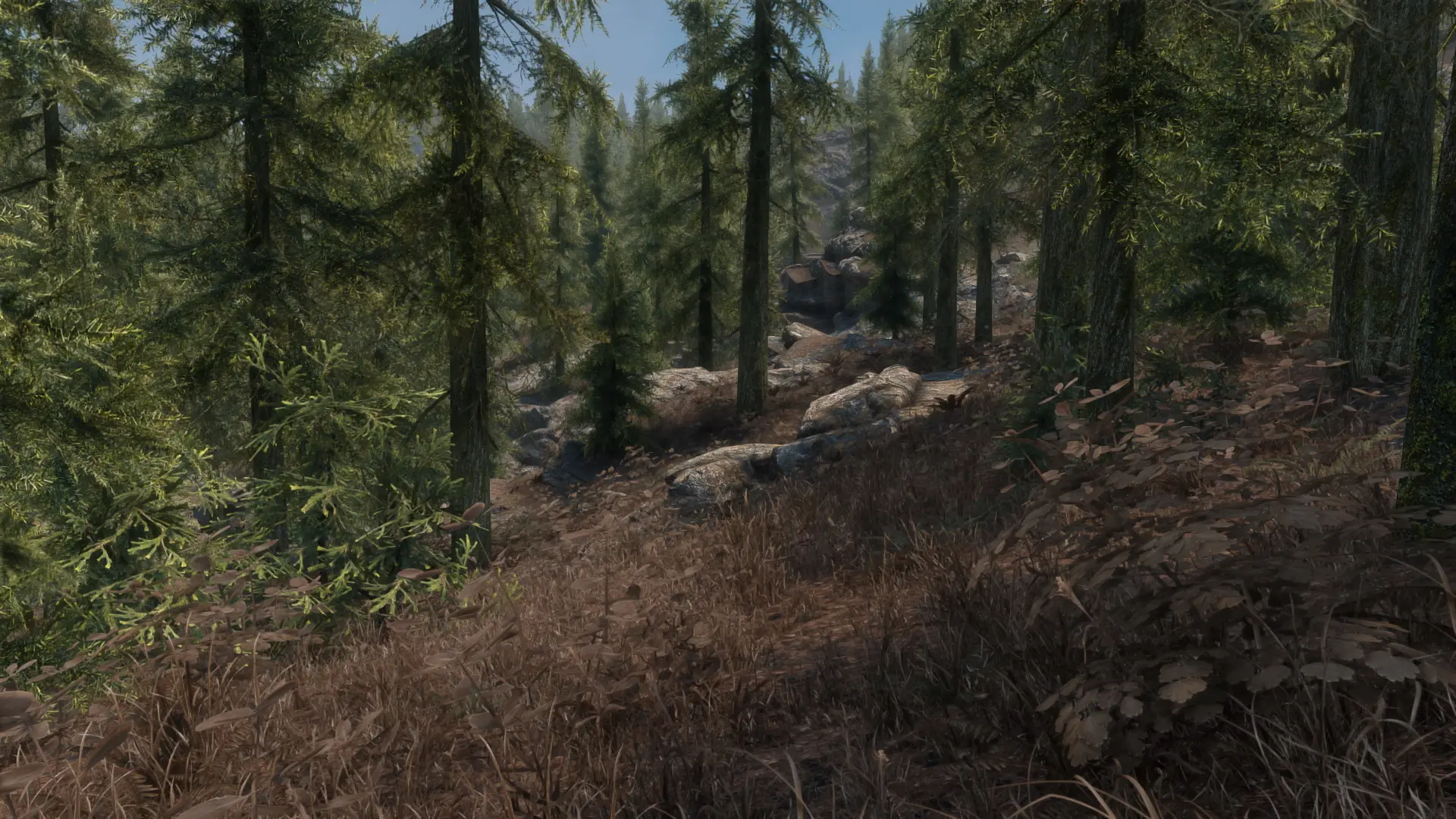 Seasonal Landscapes at Skyrim Special Edition Nexus - Mods and Community