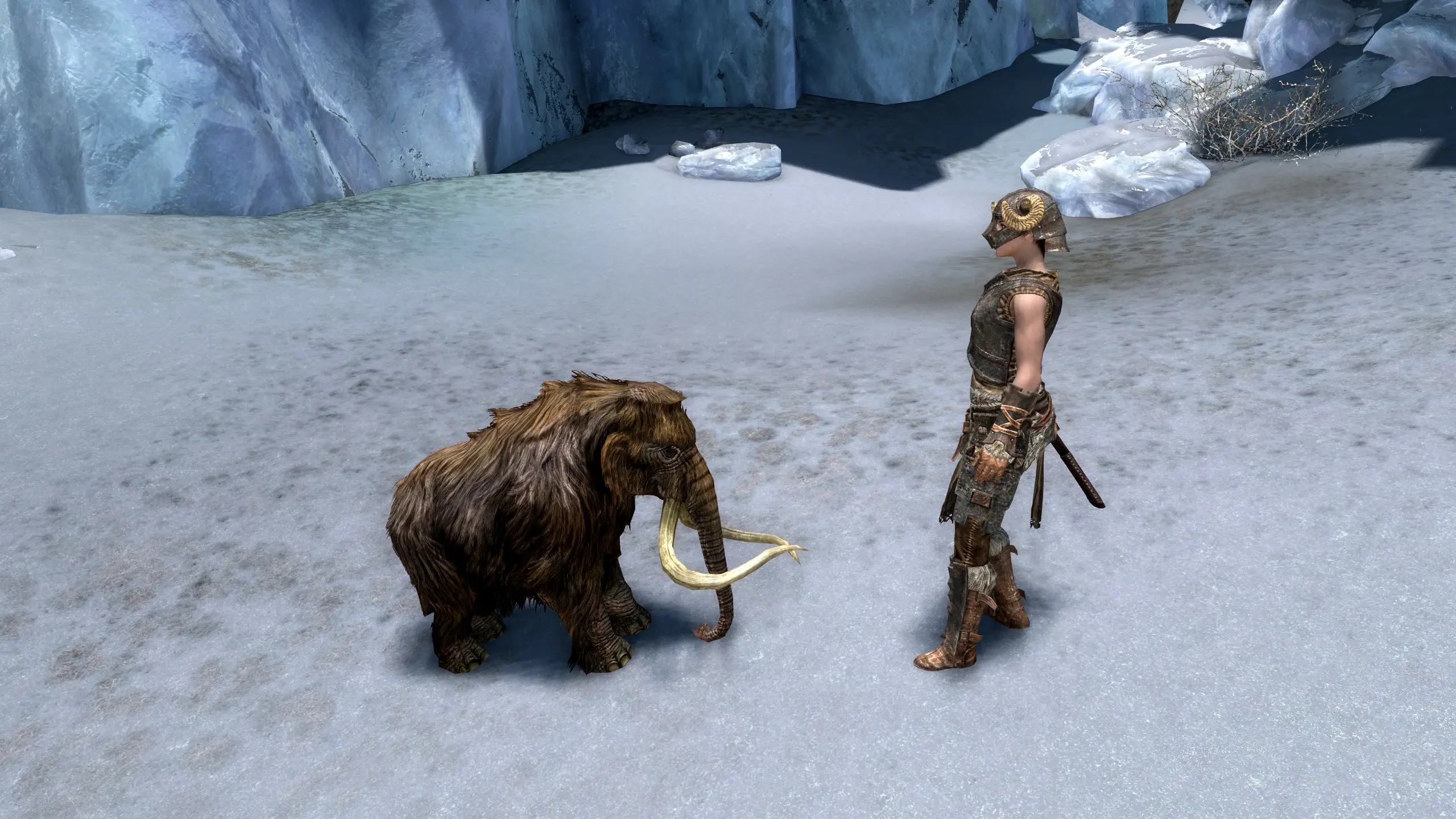 Pocket Mammoths At Skyrim Special Edition Nexus Mods And Community 4780