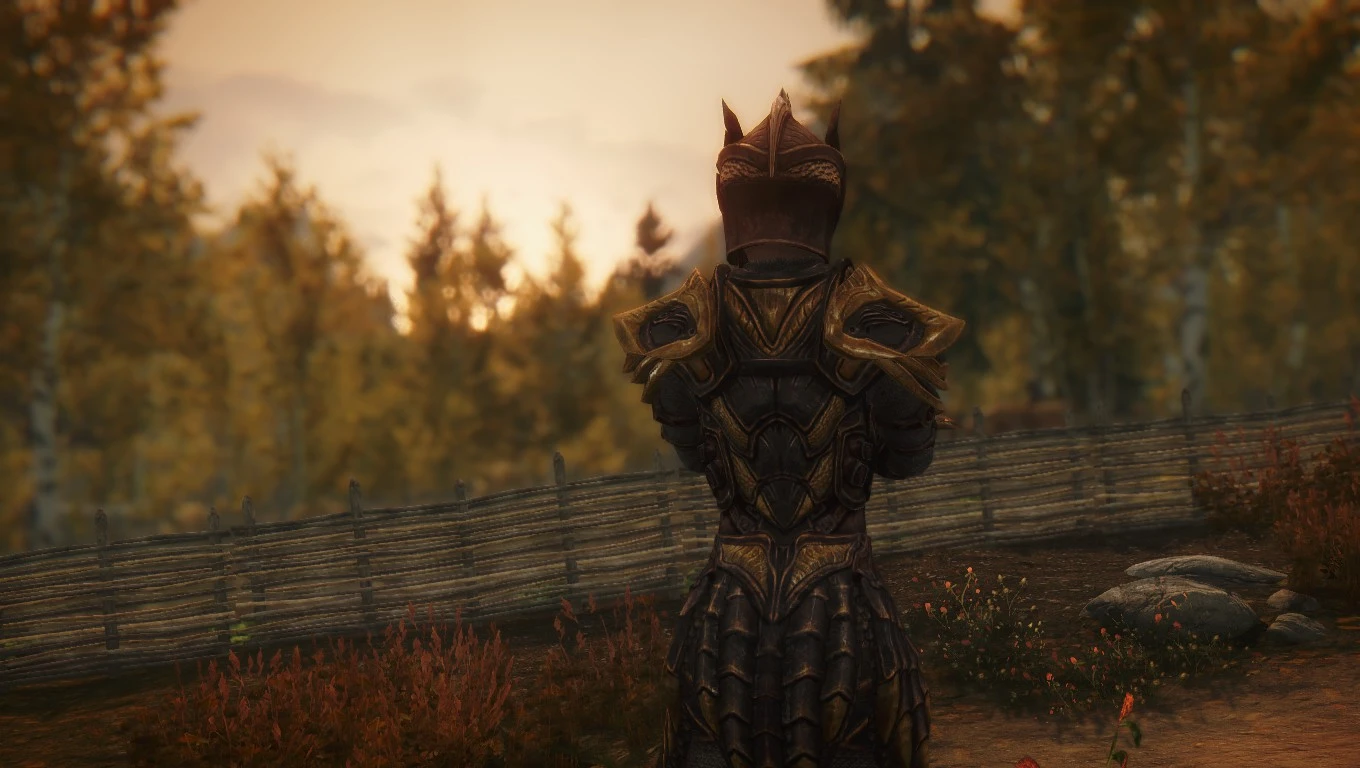 Amber Armor And Weapons At Skyrim Special Edition Nexus Mods And   67968 2 1437266661 