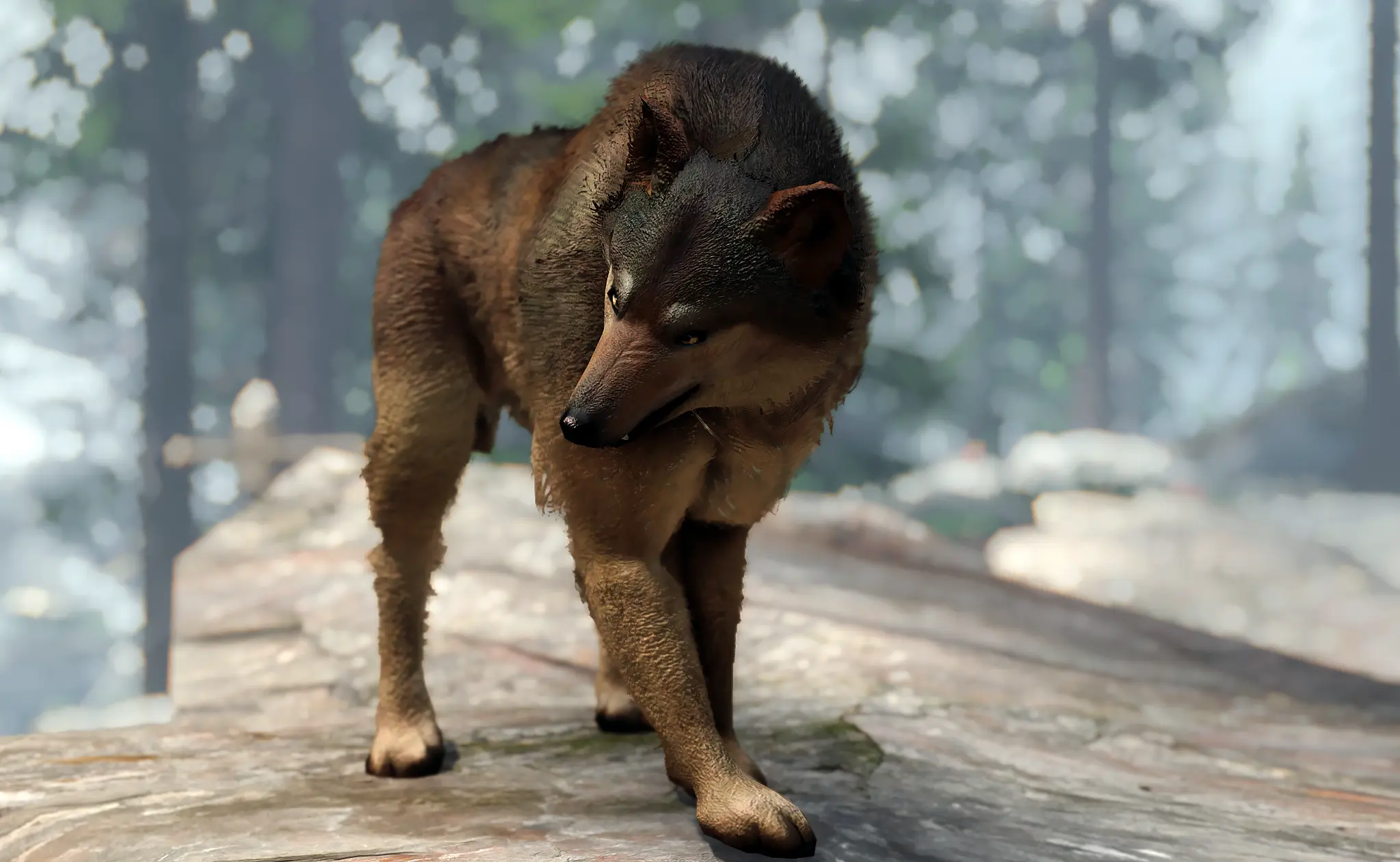 Wolves of Skyrim - wolf texture and mesh replacer at Skyrim Special ...