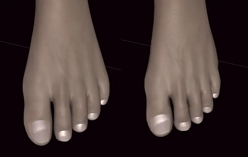 Nordic Phenotype Feet BHUNP at Skyrim Special Edition Nexus - Mods and ...